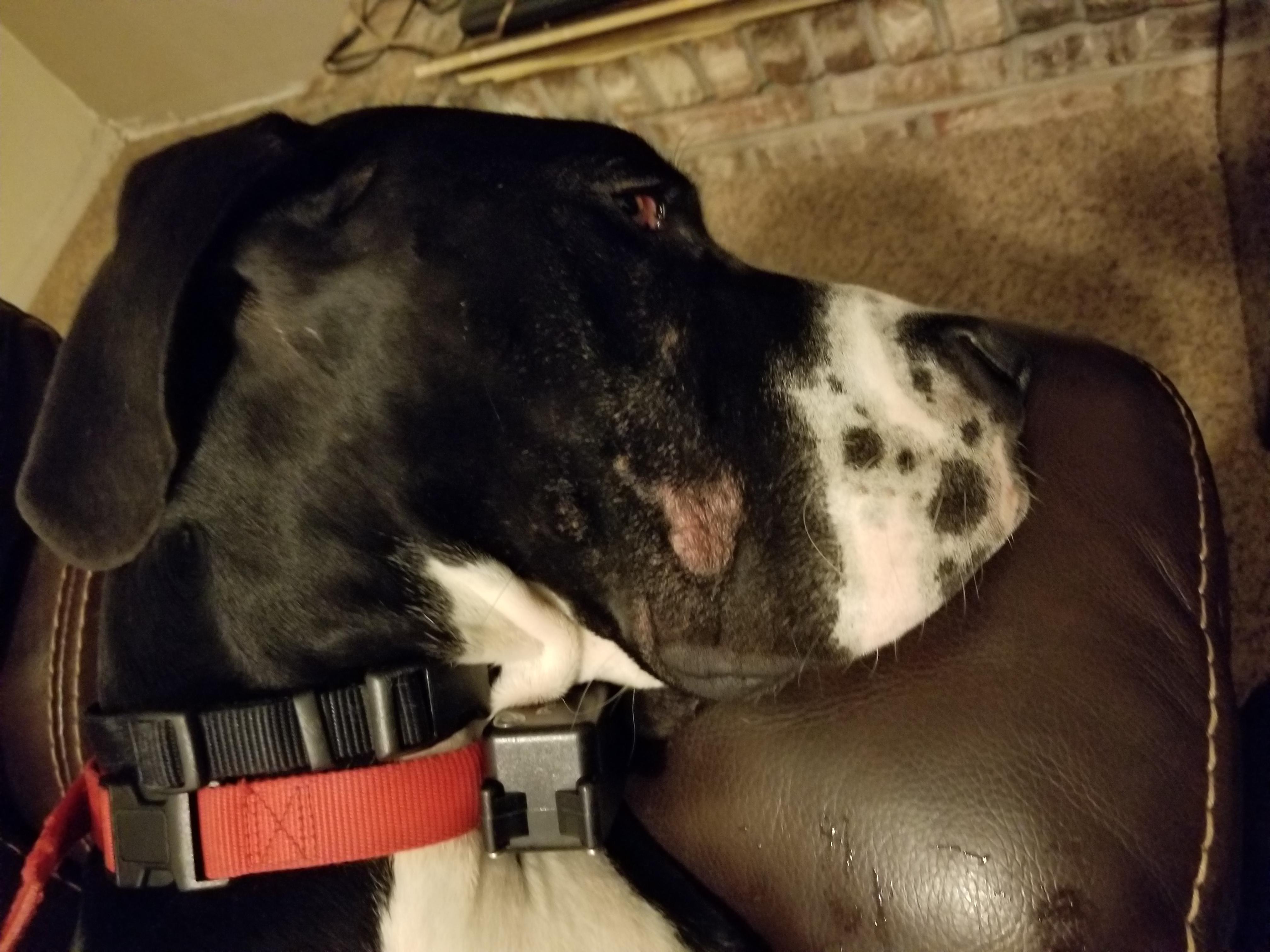 Question details sensitive content