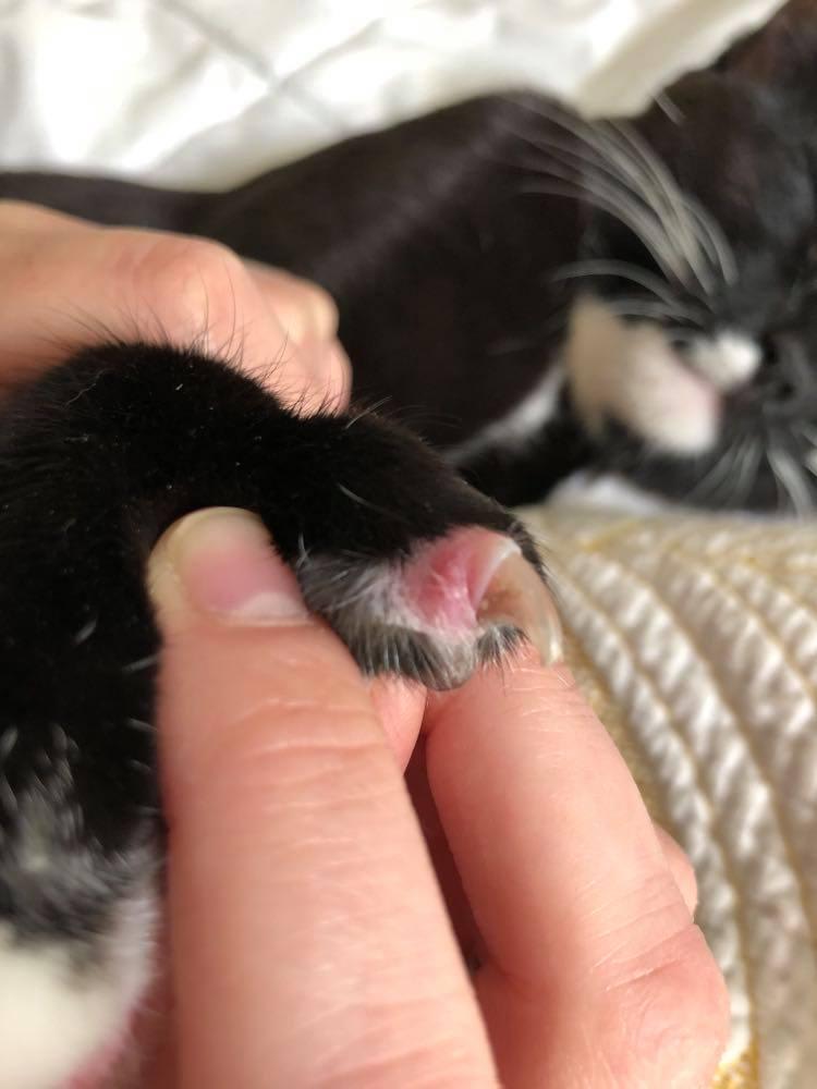 Question details sensitive content