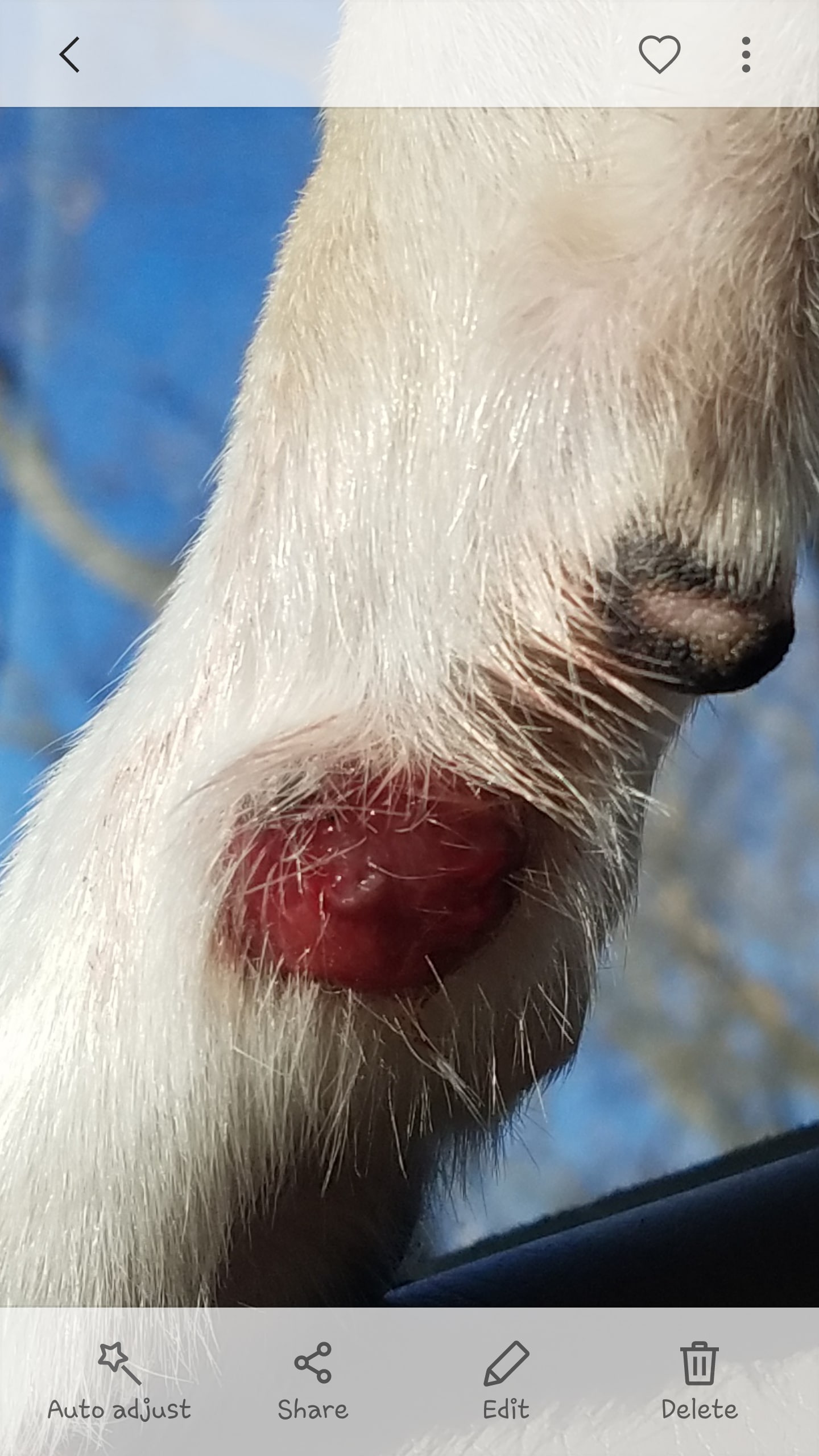 Question details sensitive content