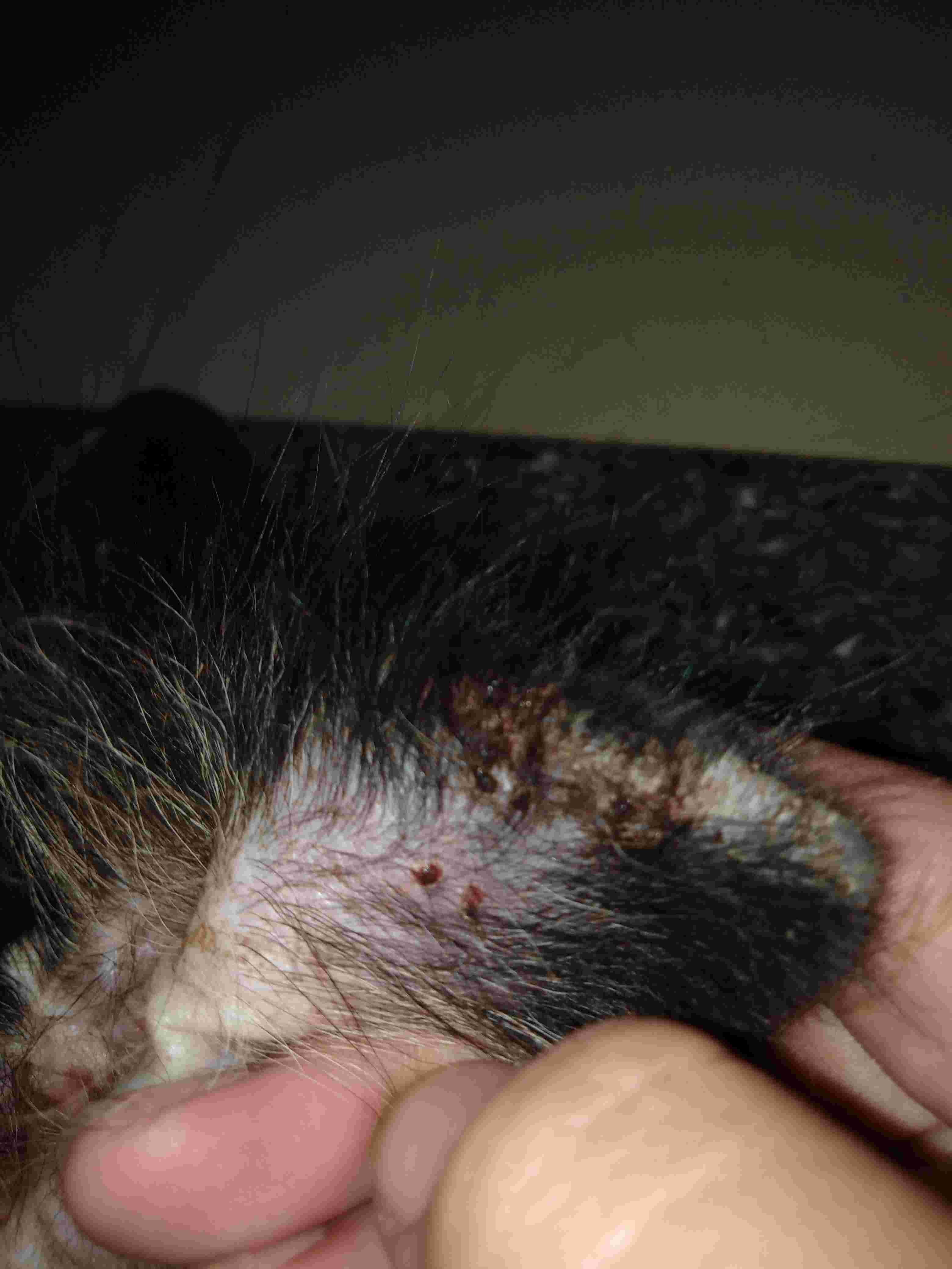 Question details sensitive content