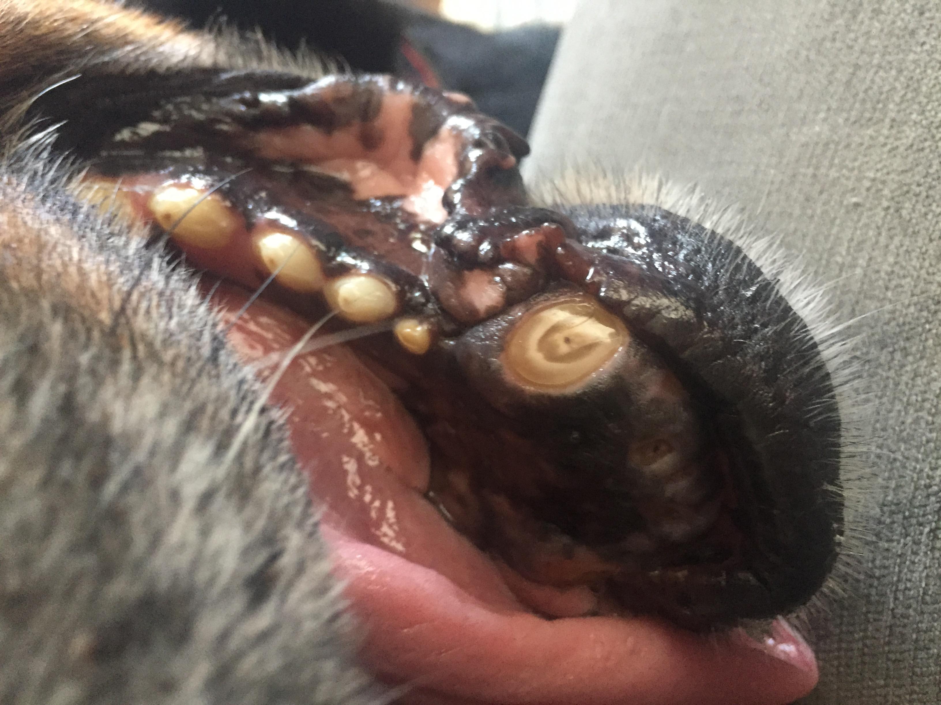 Question details sensitive content