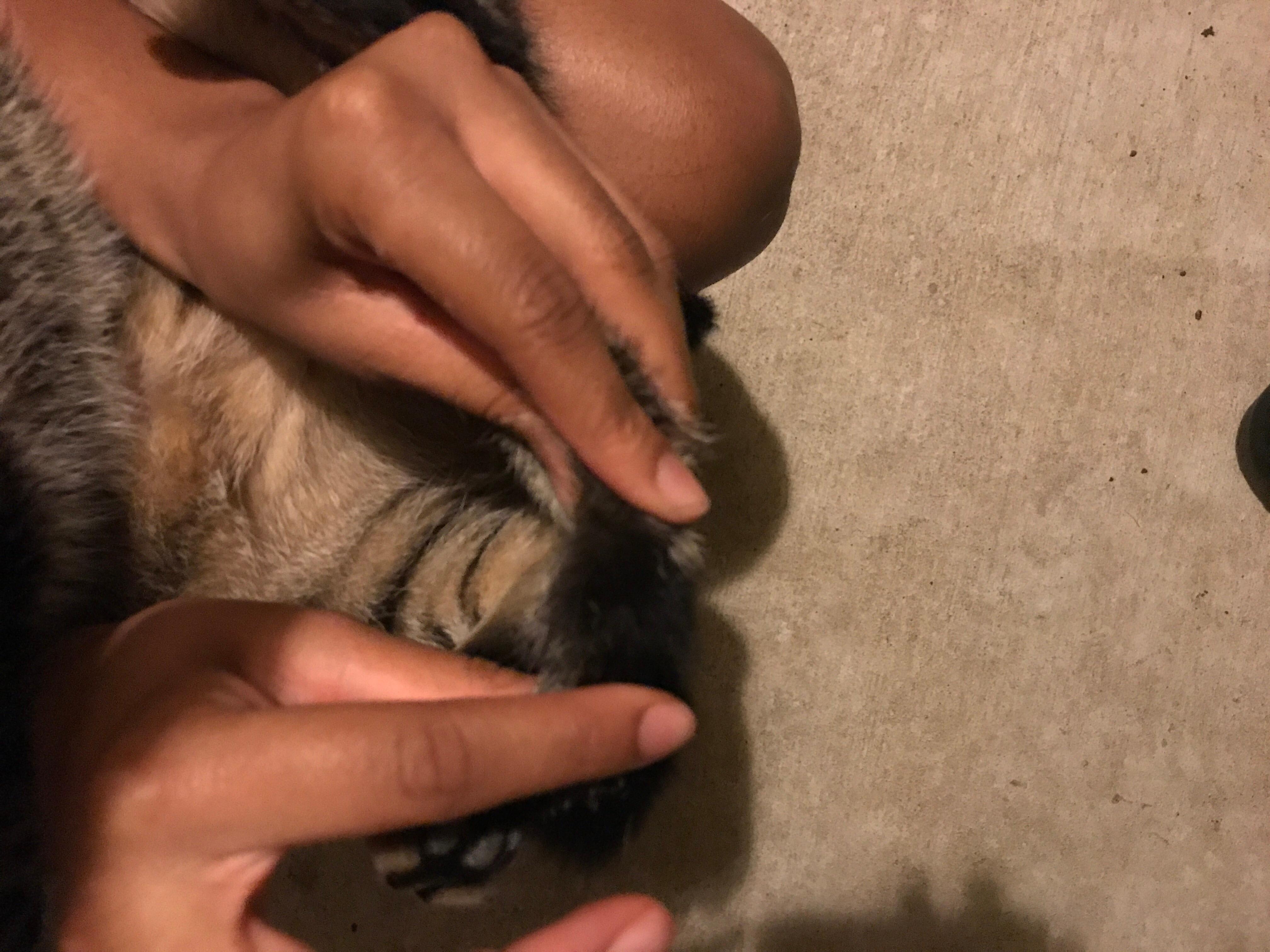 Question details sensitive content