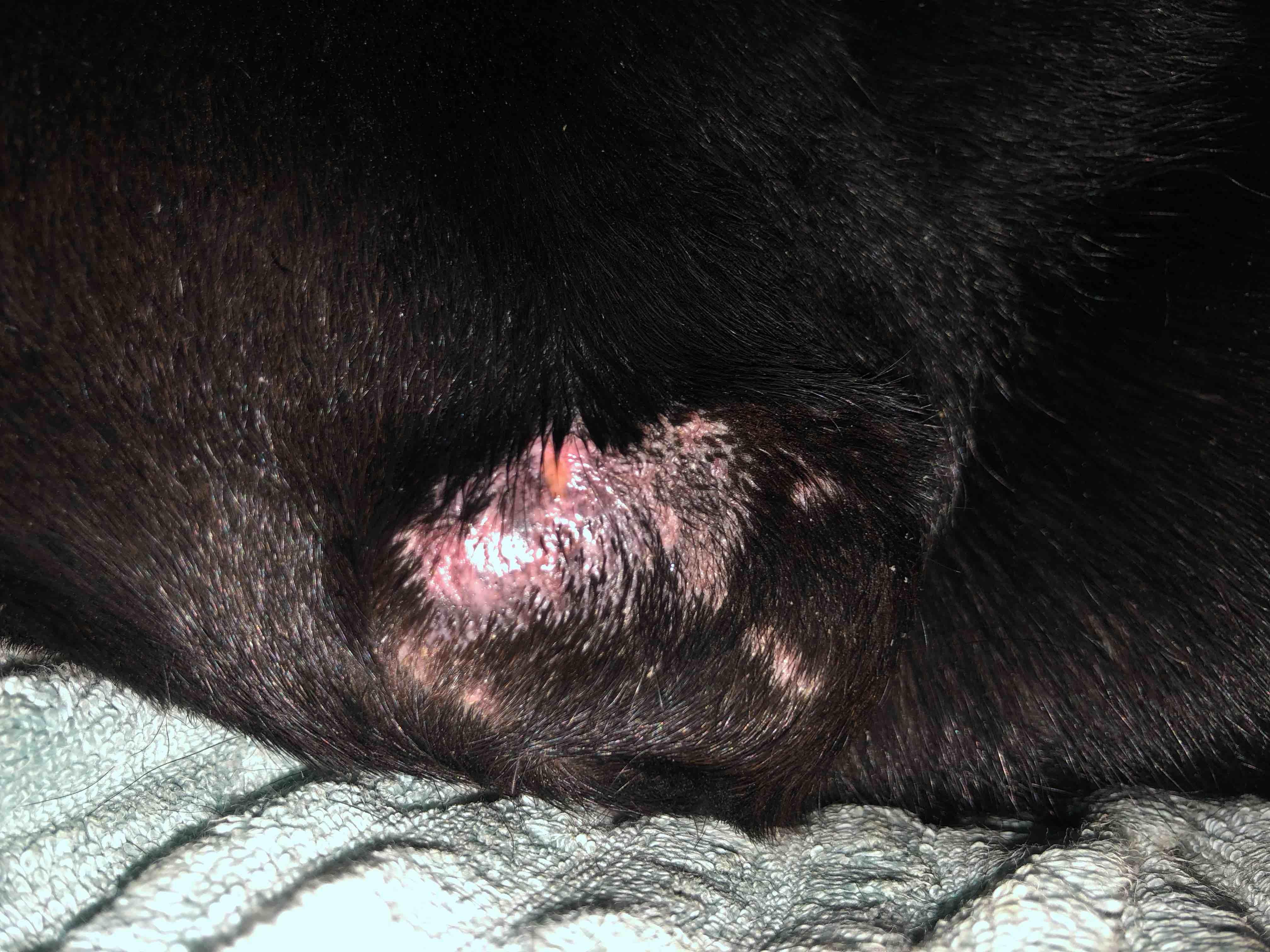 Question details sensitive content