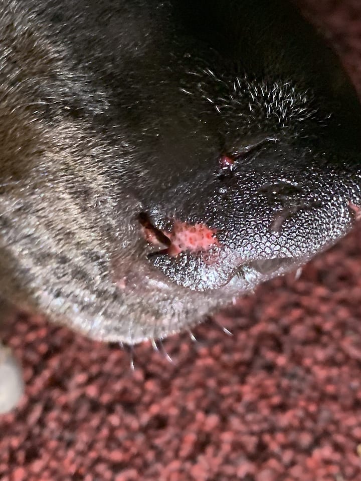 Question details sensitive content