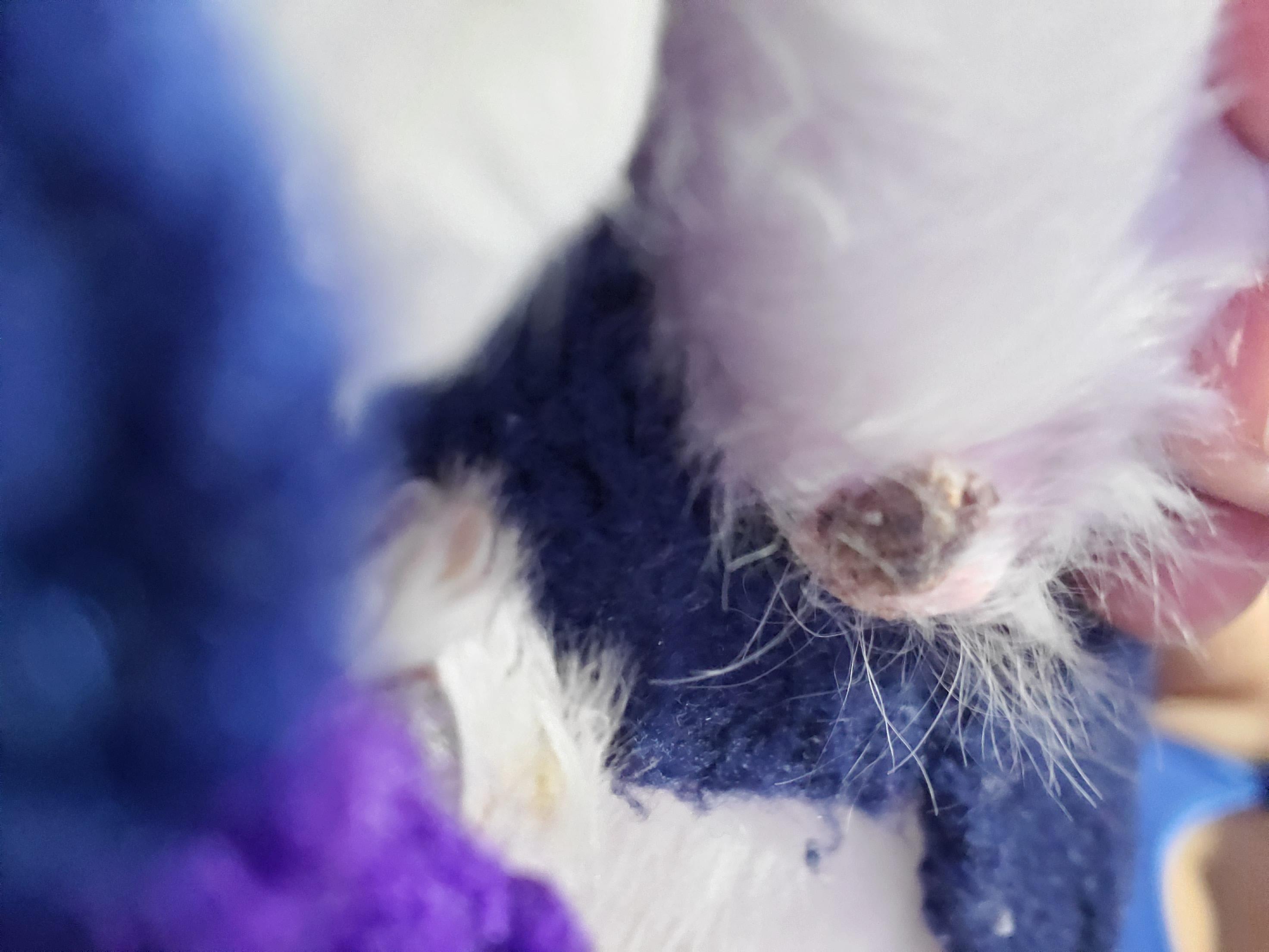 Question details sensitive content