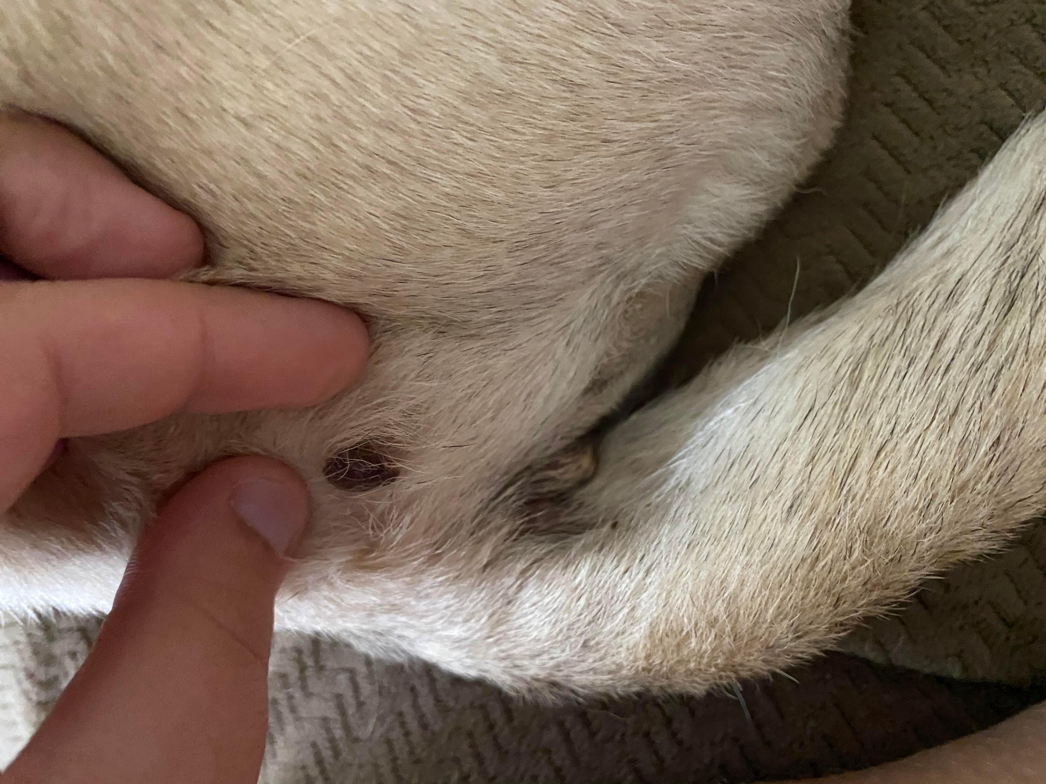 Question details sensitive content