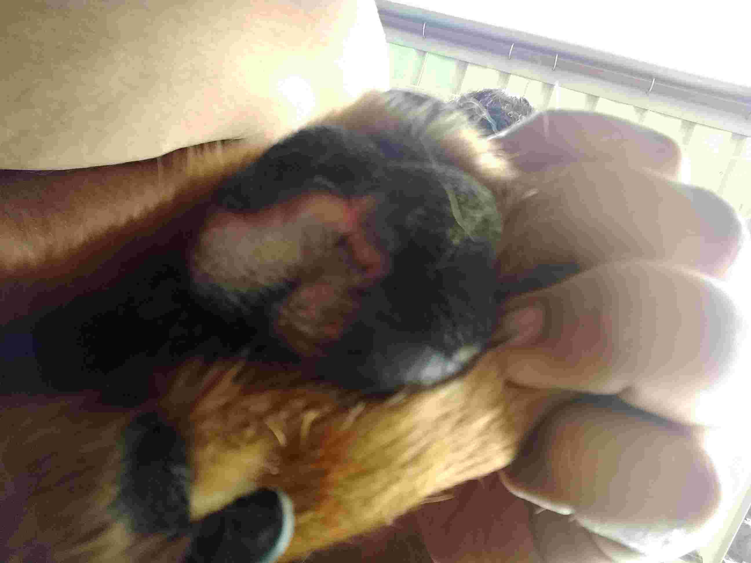 Question details sensitive content