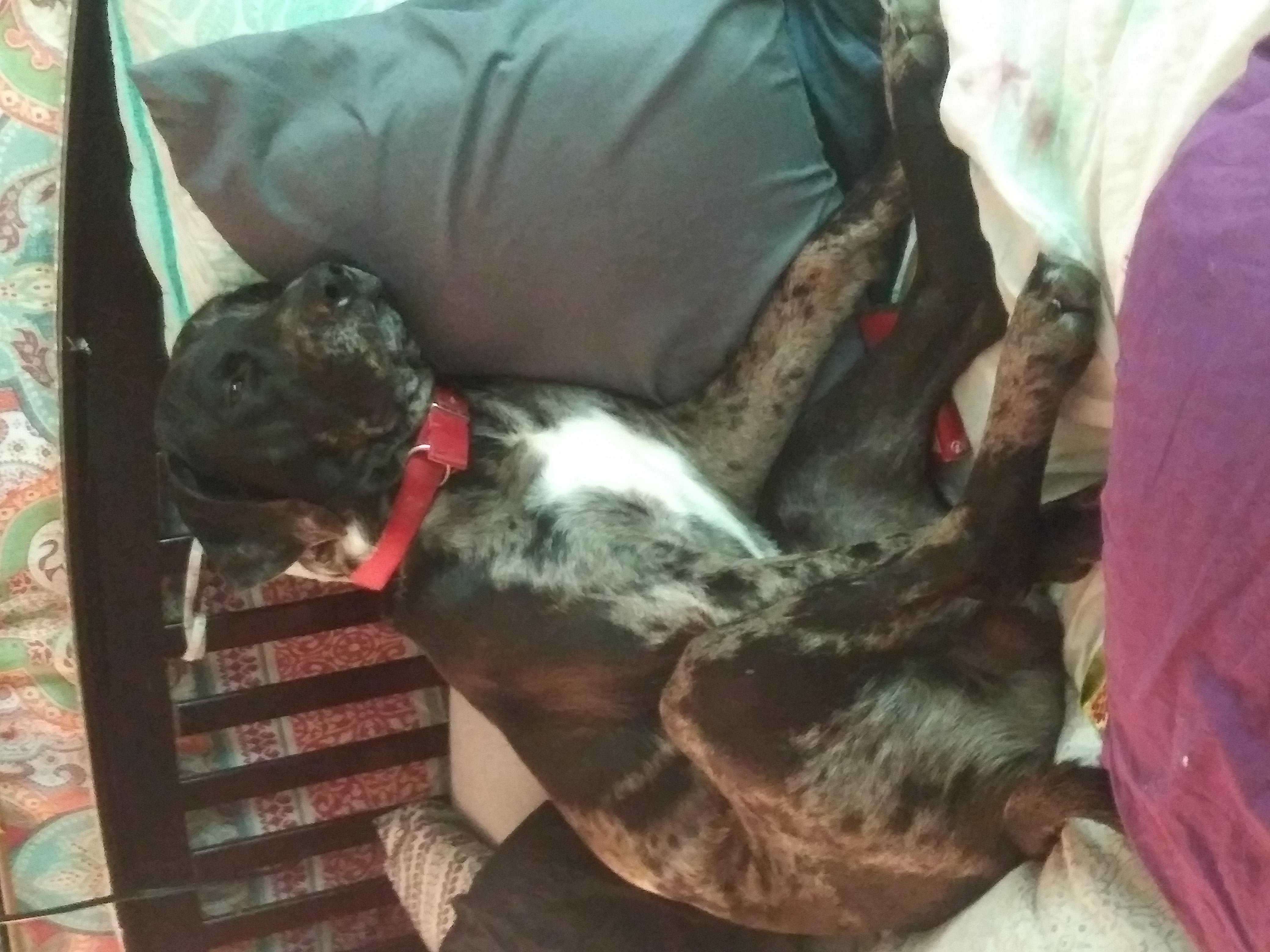 Question details sensitive content