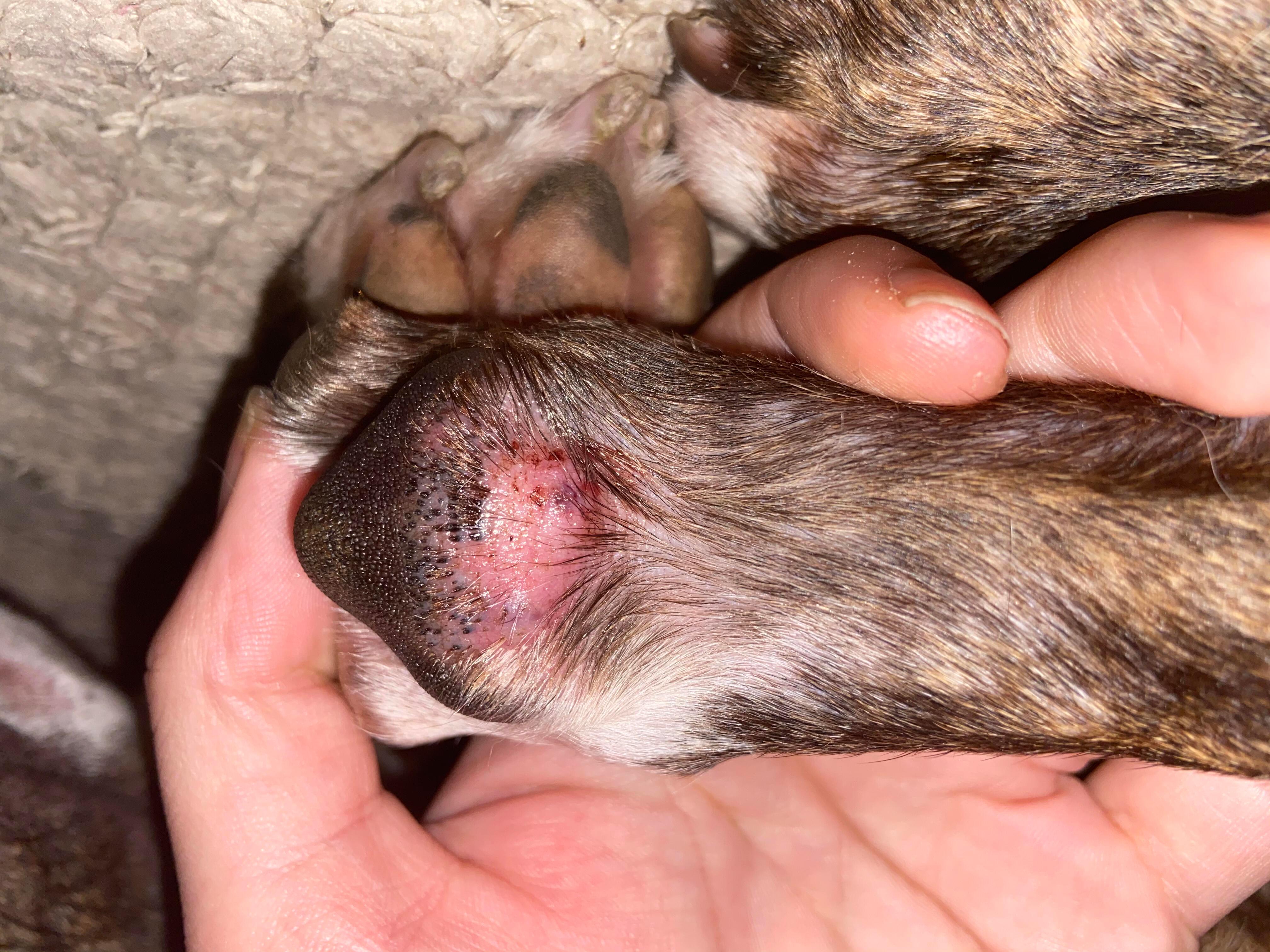 Question details sensitive content