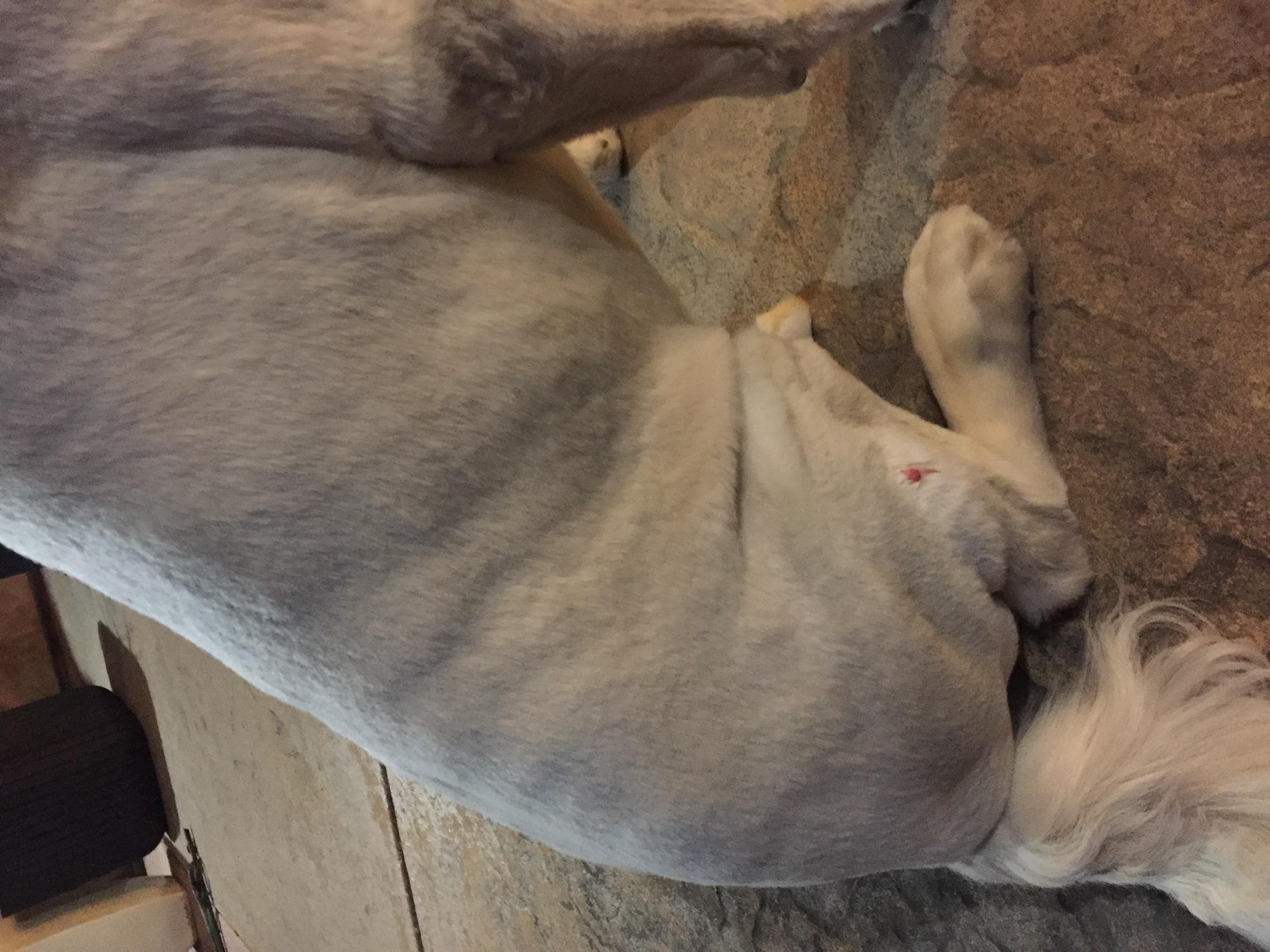 Question details sensitive content