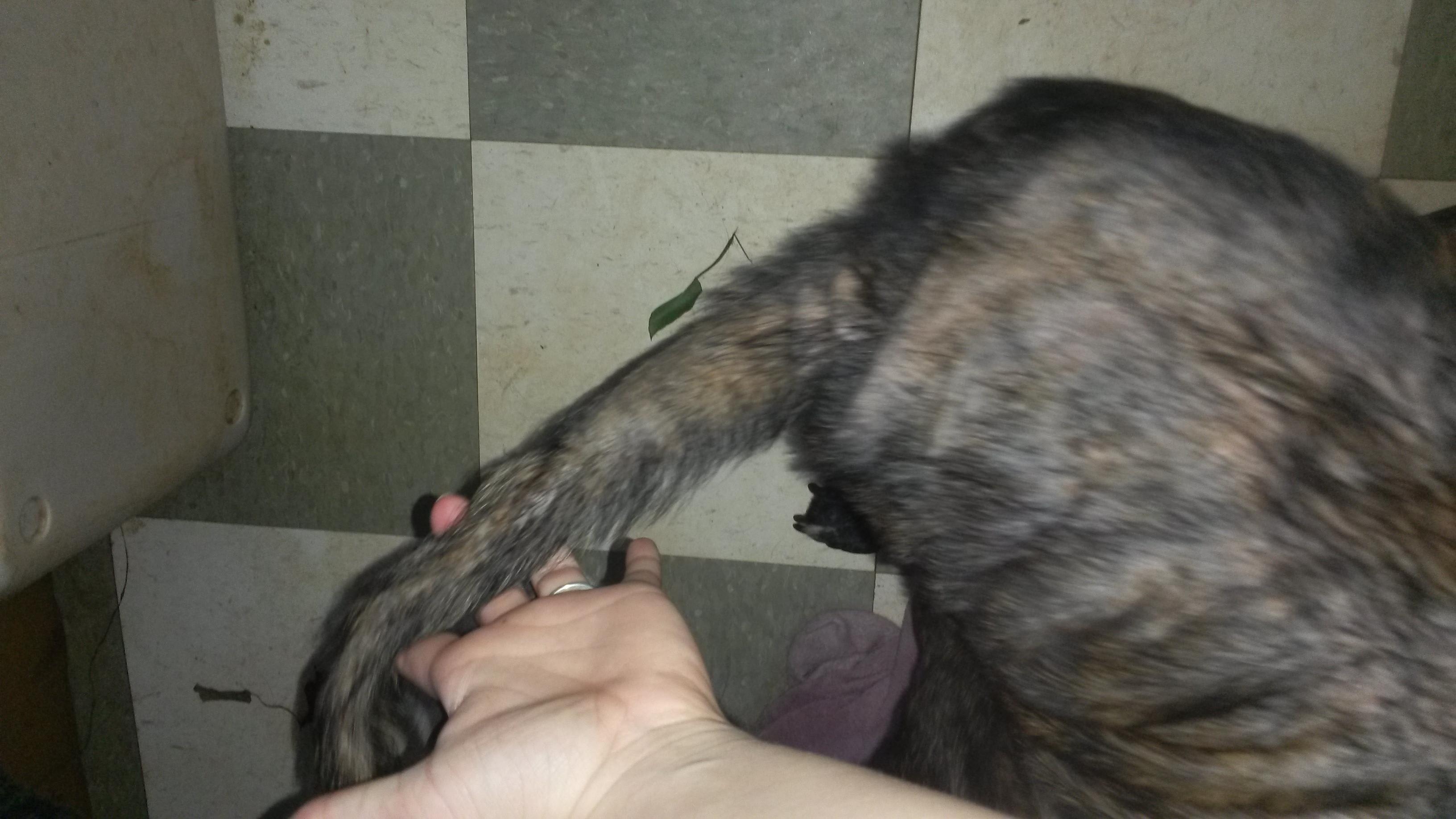 Question details sensitive content