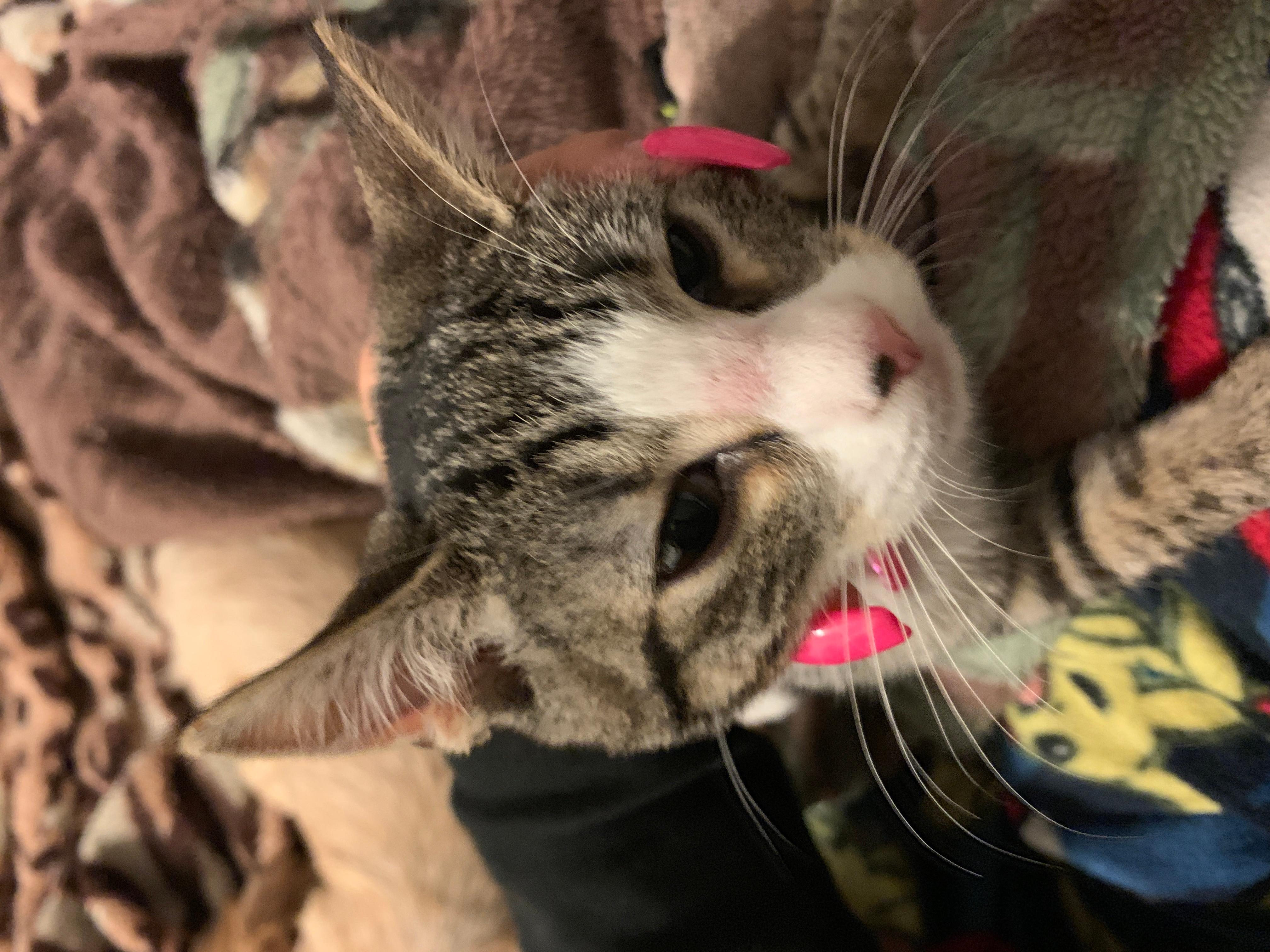 Question details sensitive content