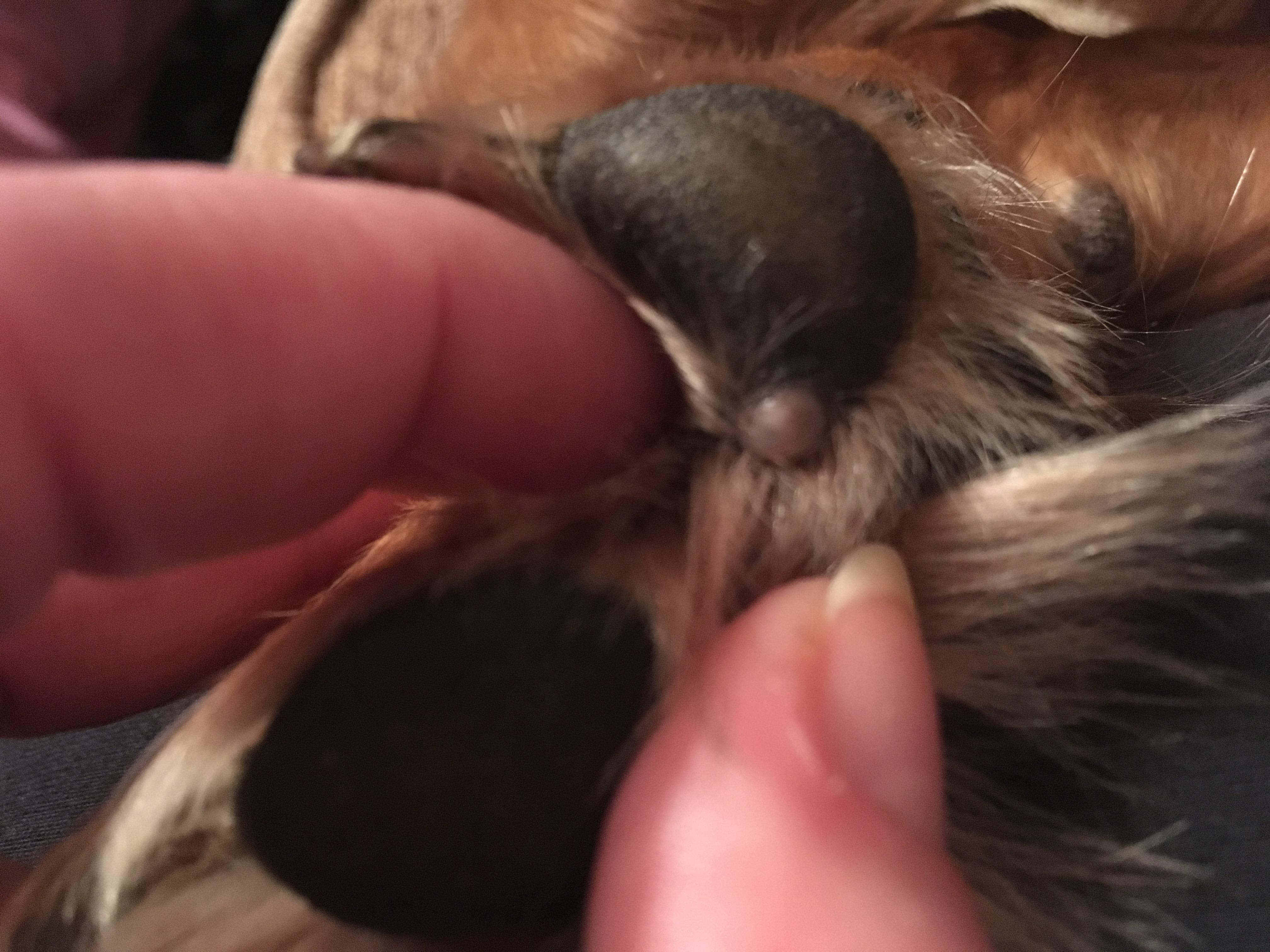 Question details sensitive content