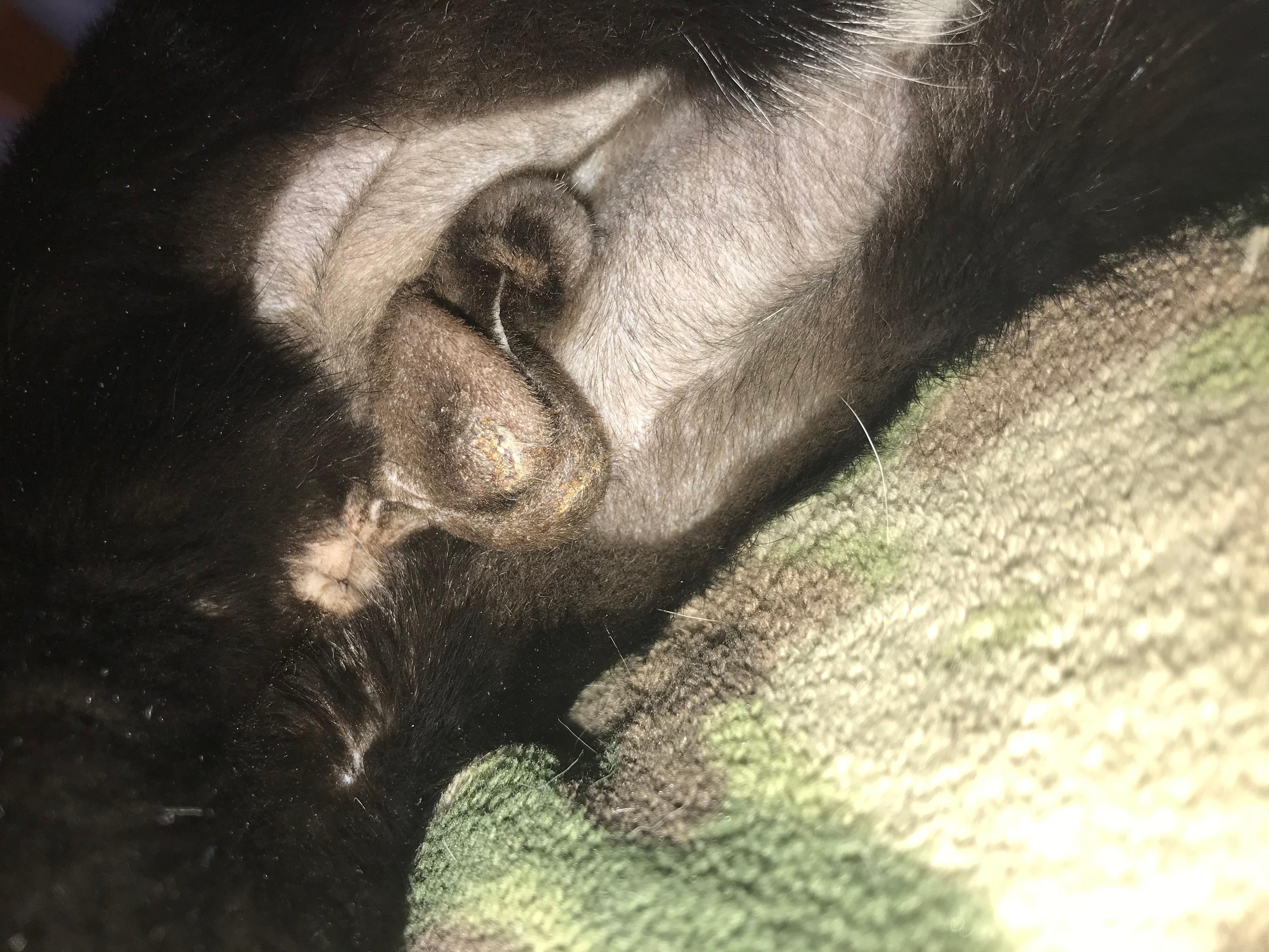 Question details sensitive content