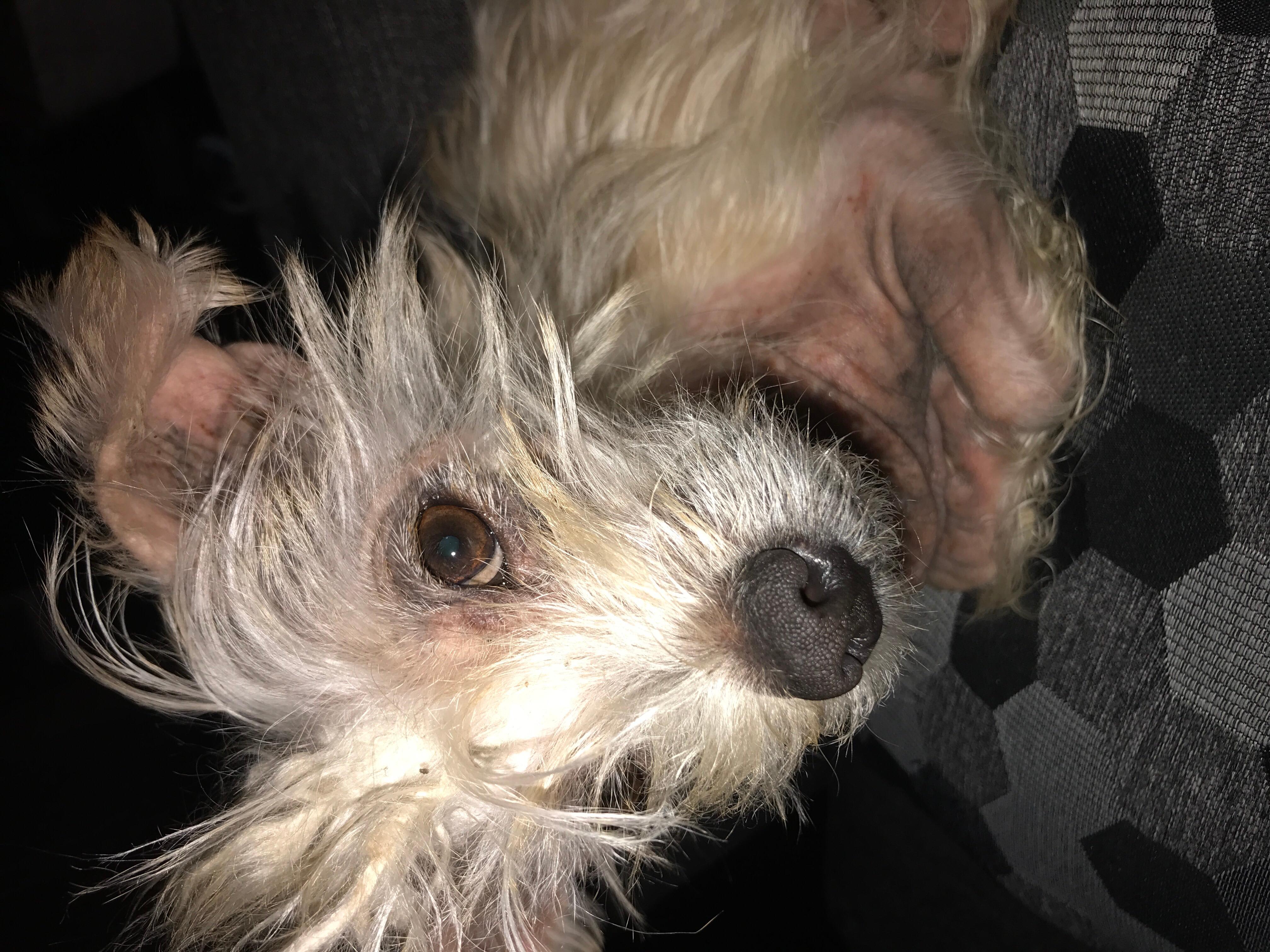 Question details sensitive content