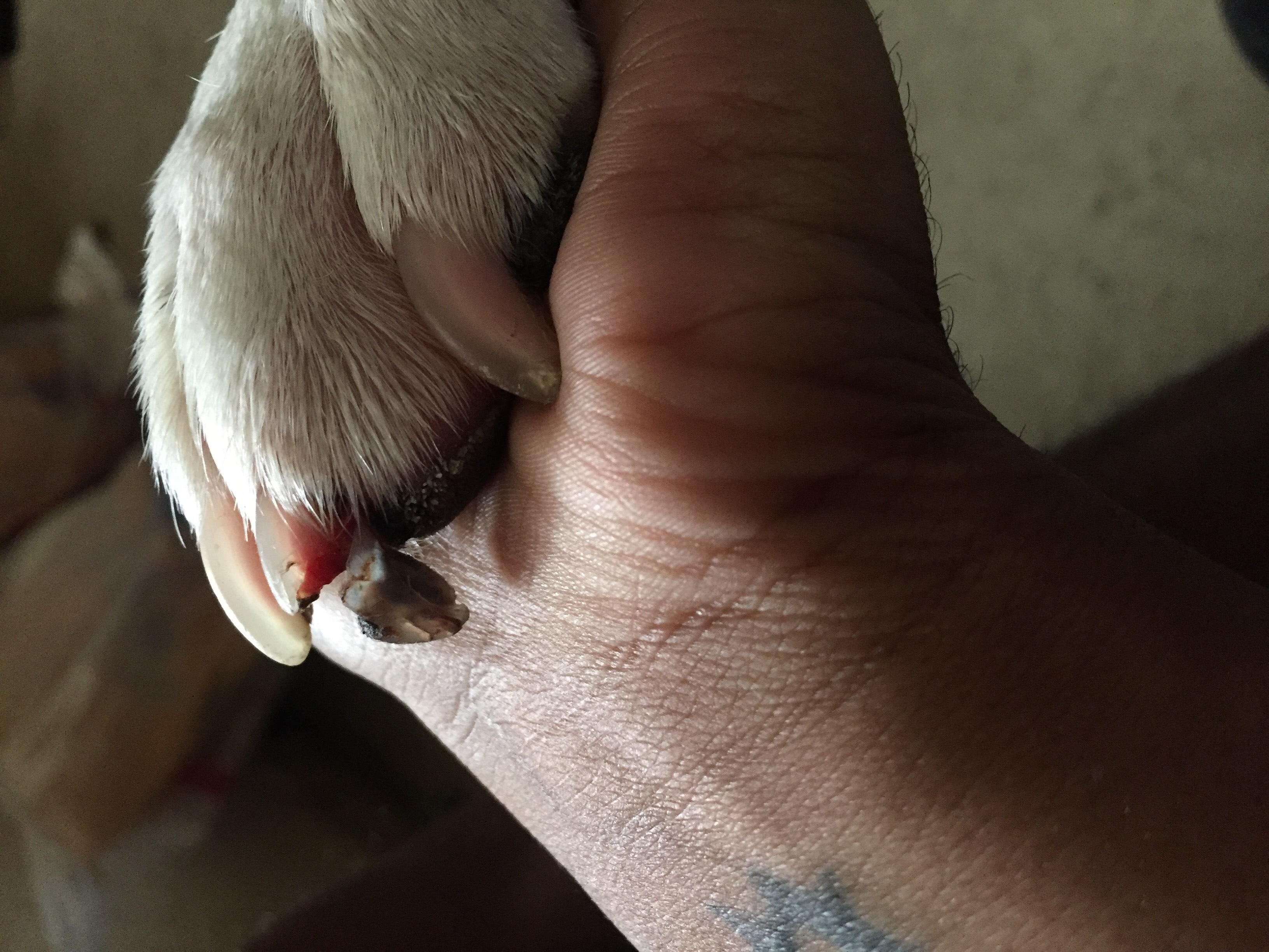 Question details sensitive content