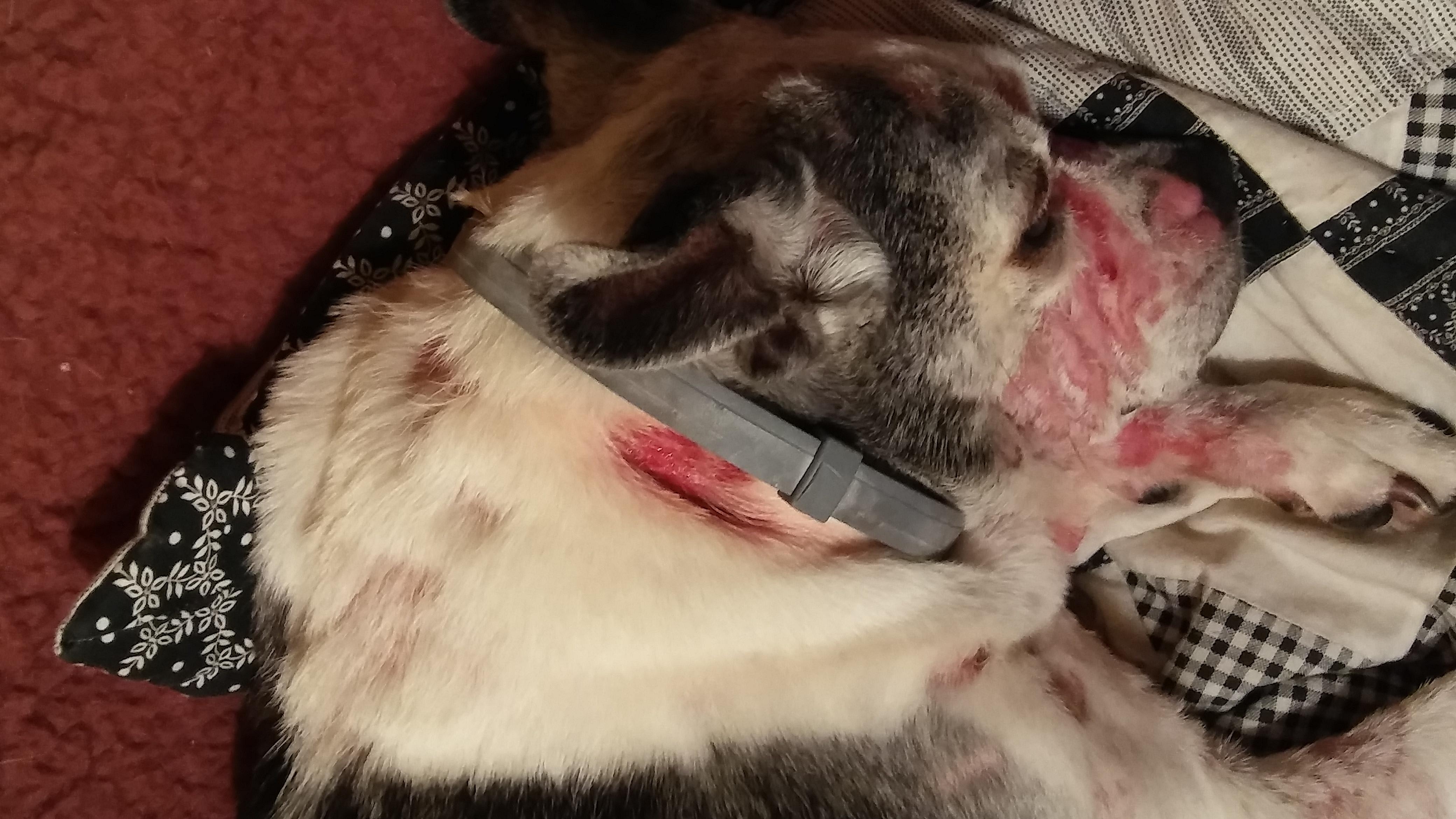 Question details sensitive content