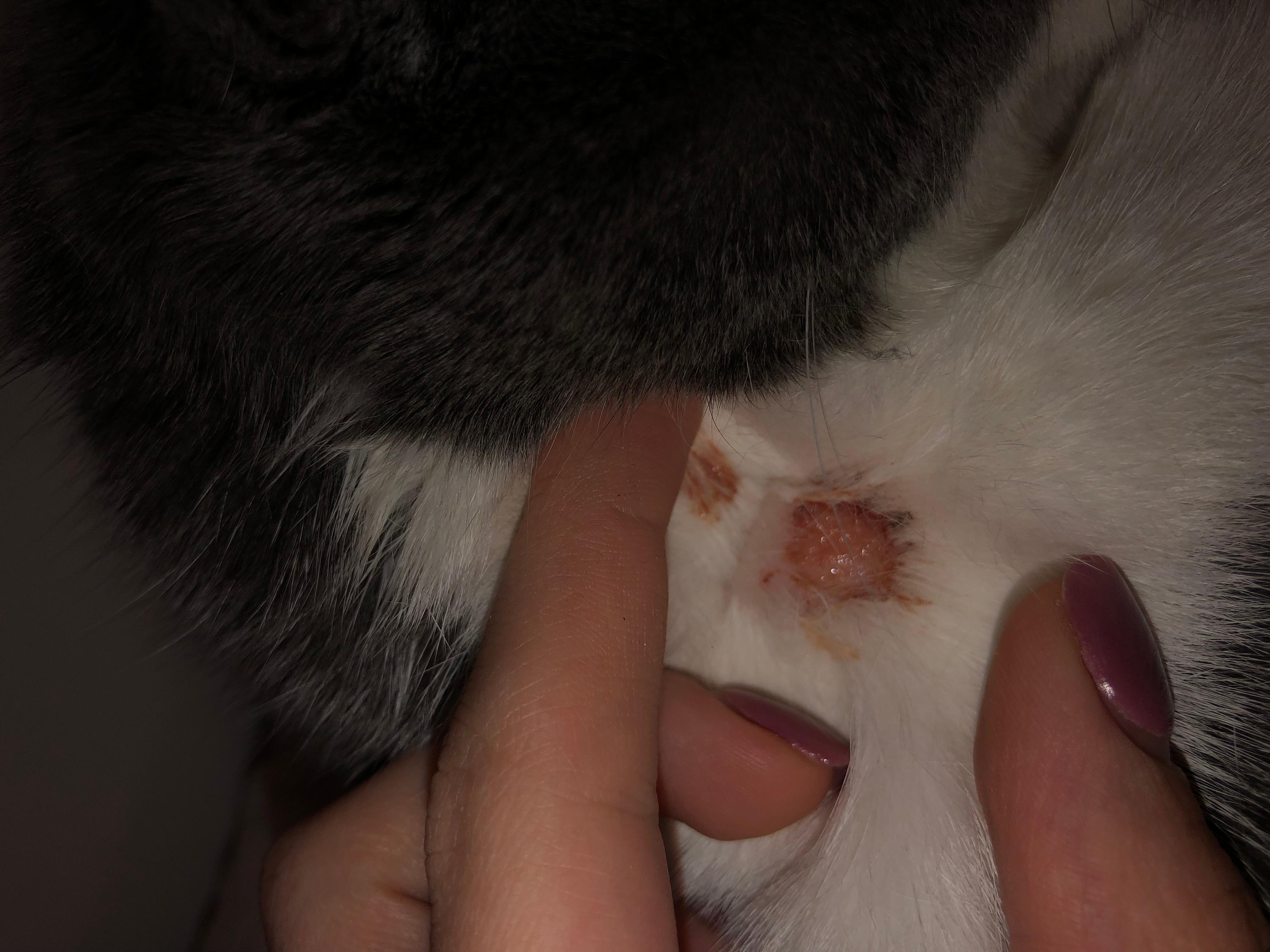 Question details sensitive content