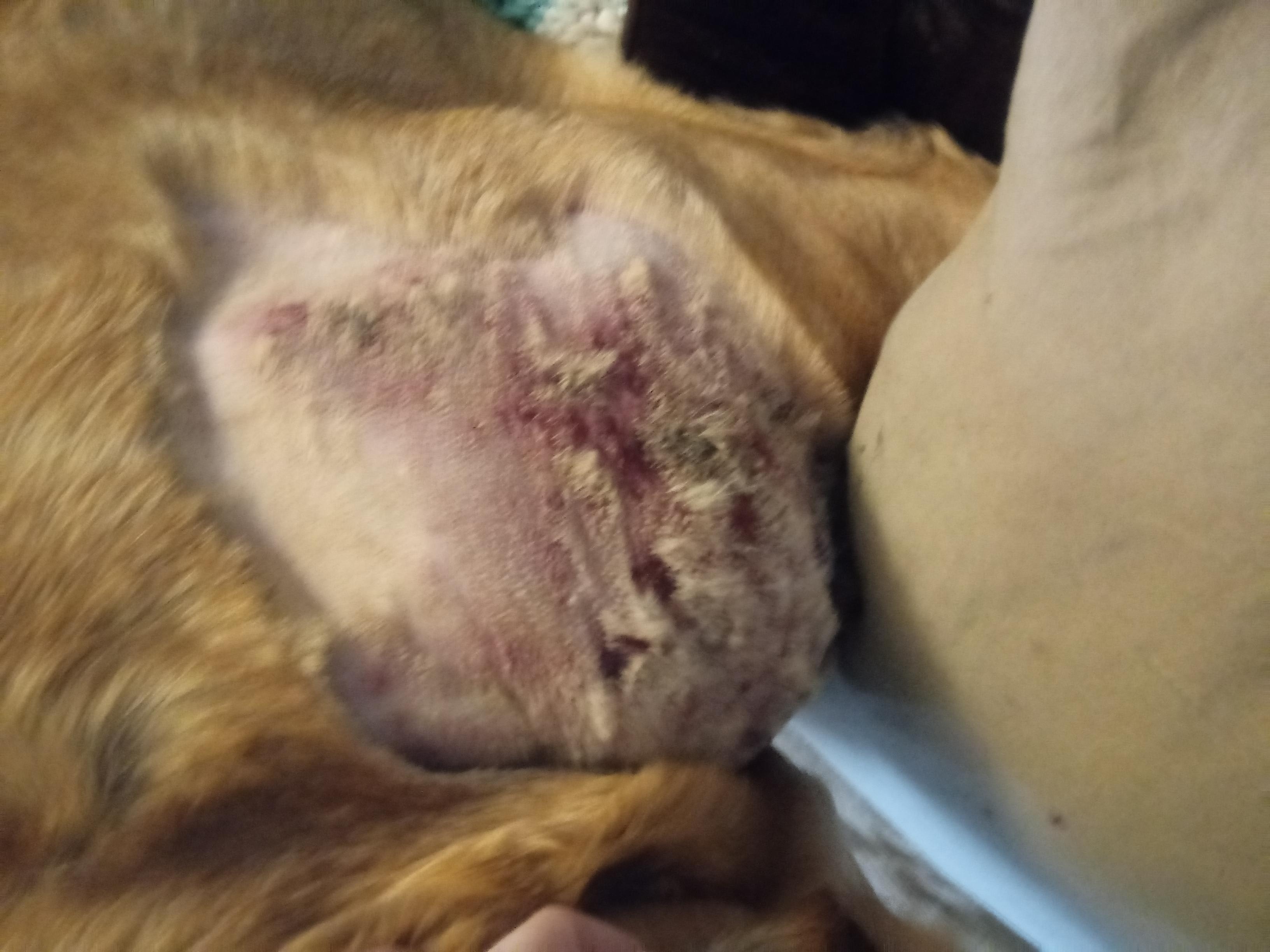 Question details sensitive content