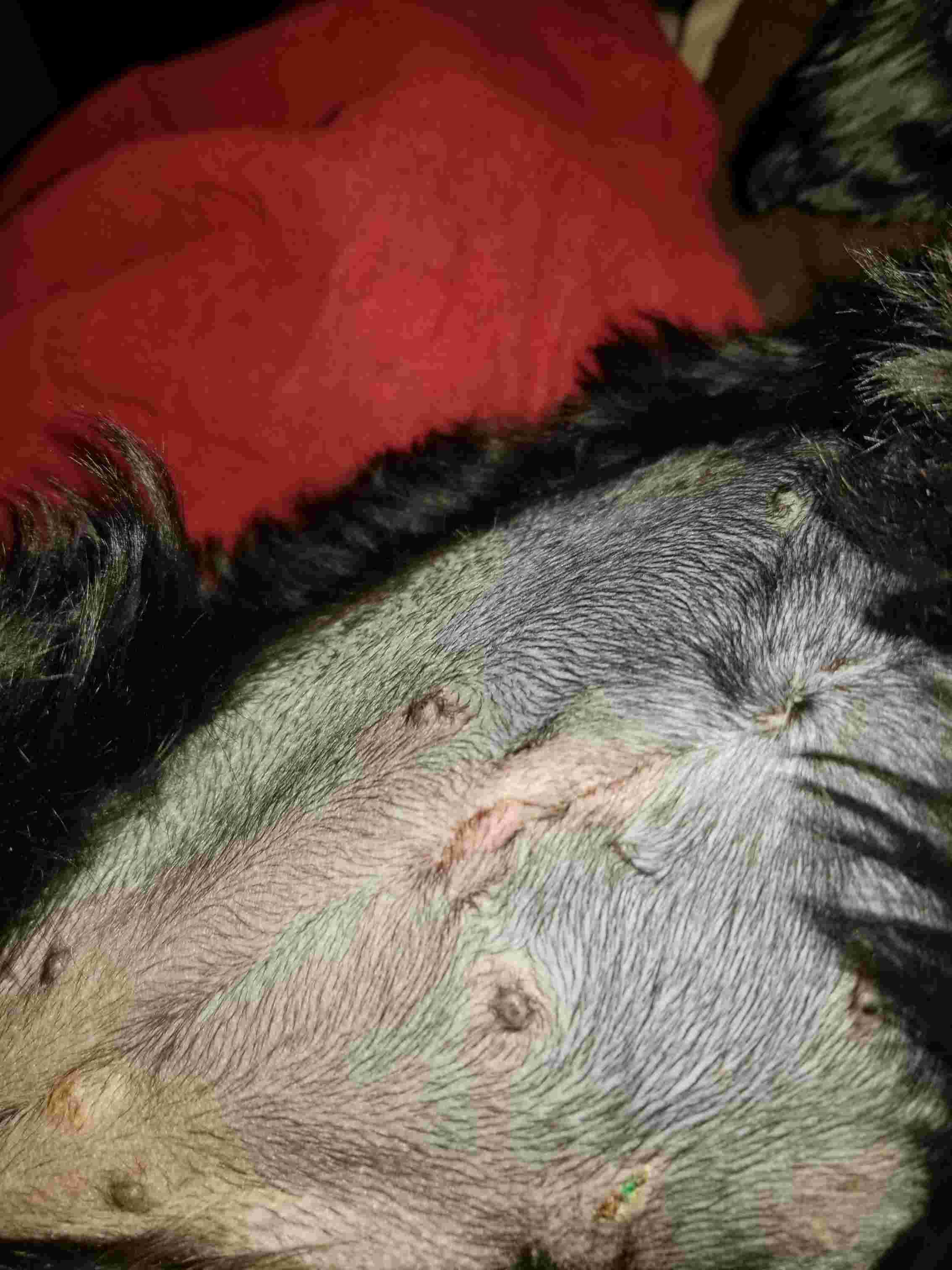 Question details sensitive content