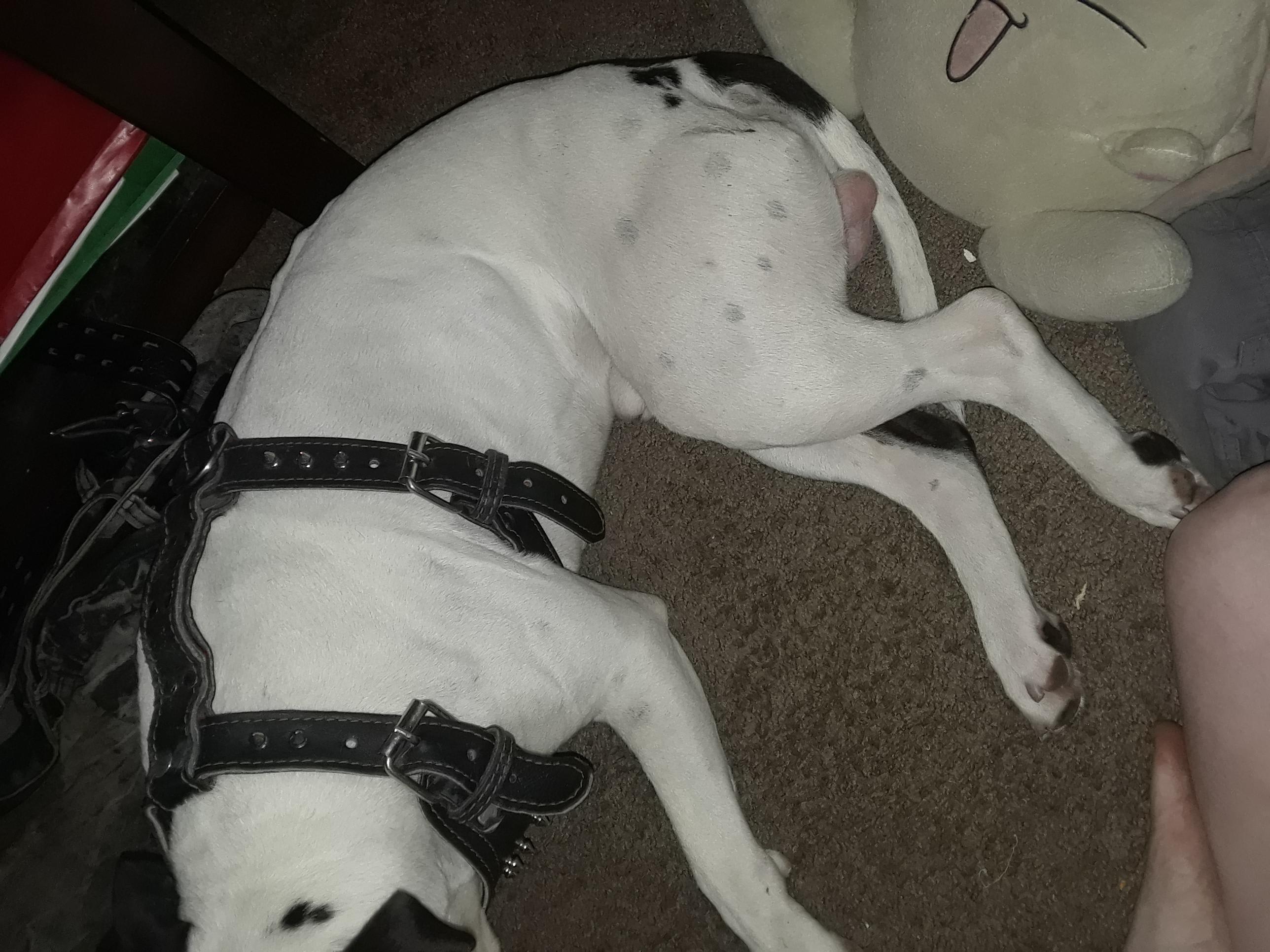 Question details sensitive content