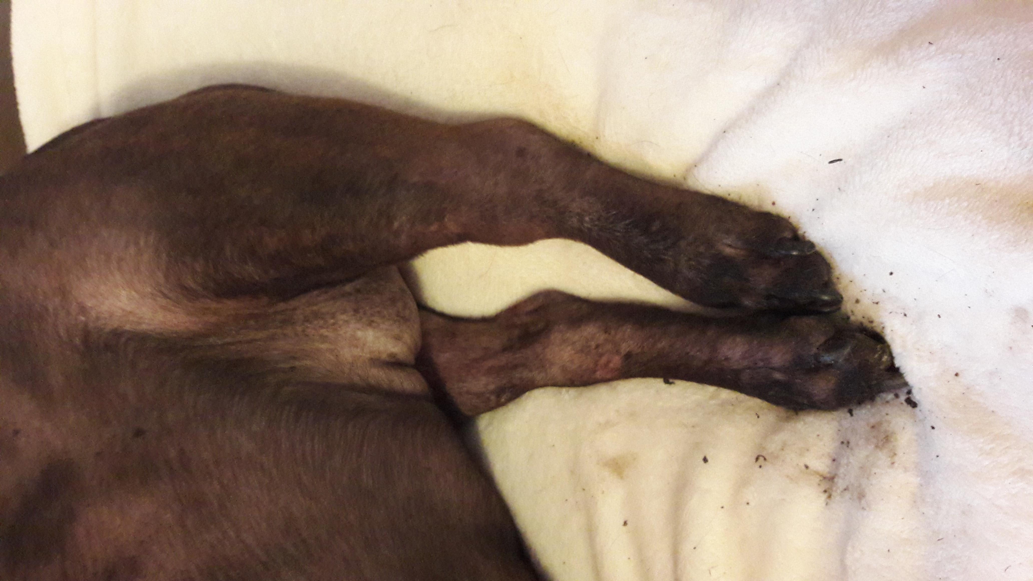 Question details sensitive content