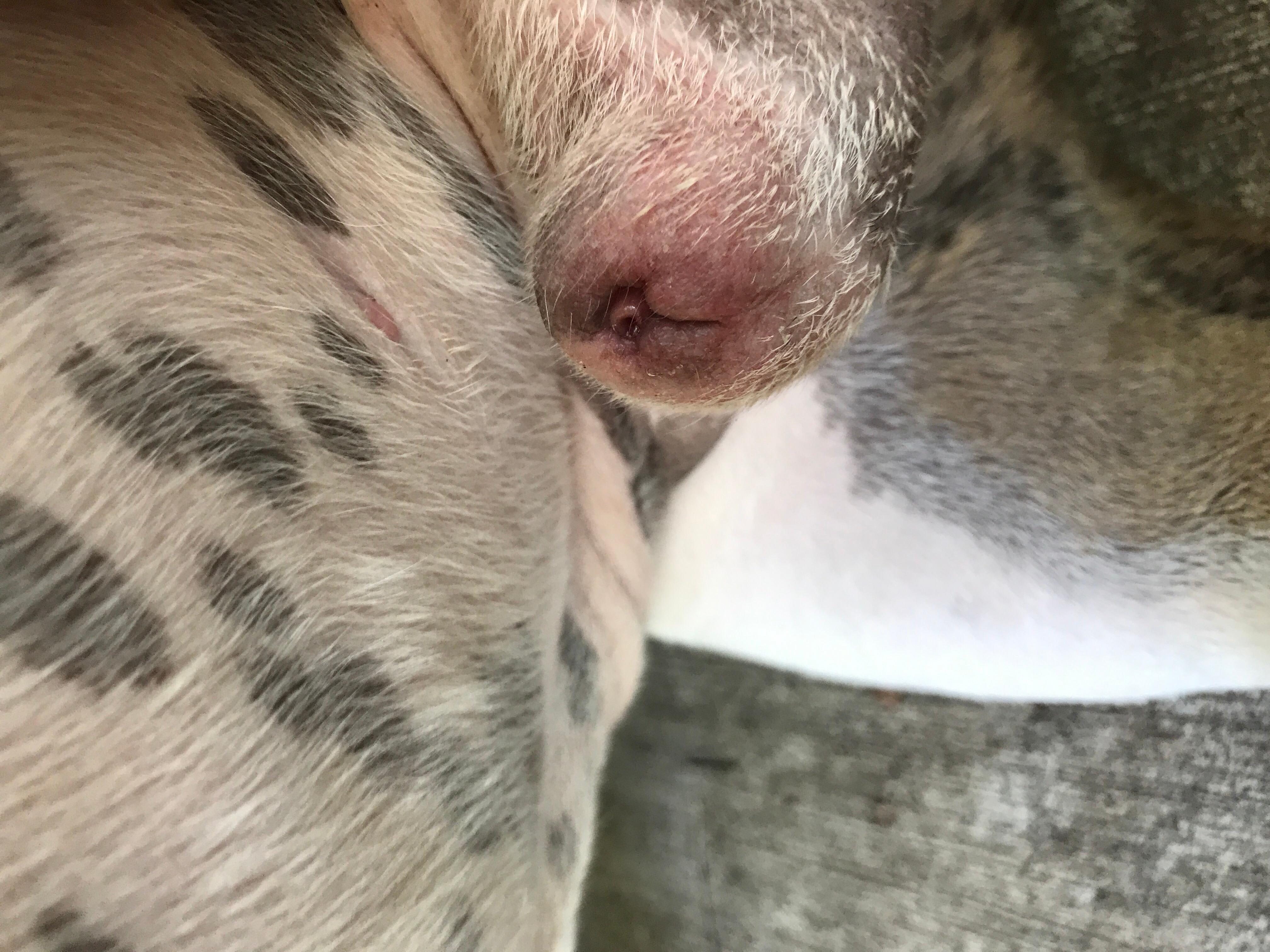 Question details sensitive content