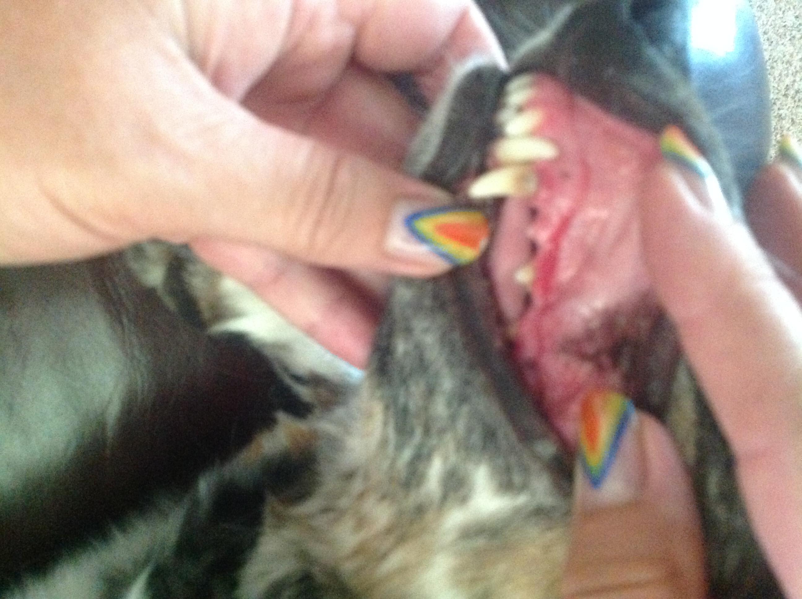 Question details sensitive content