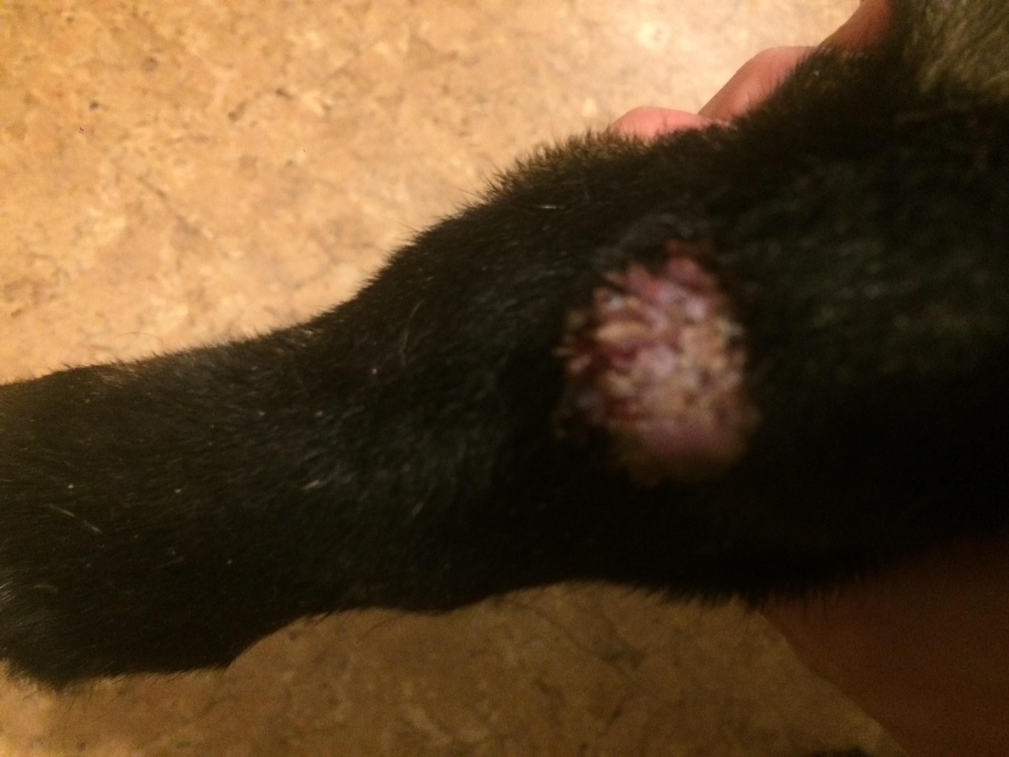 Question details sensitive content