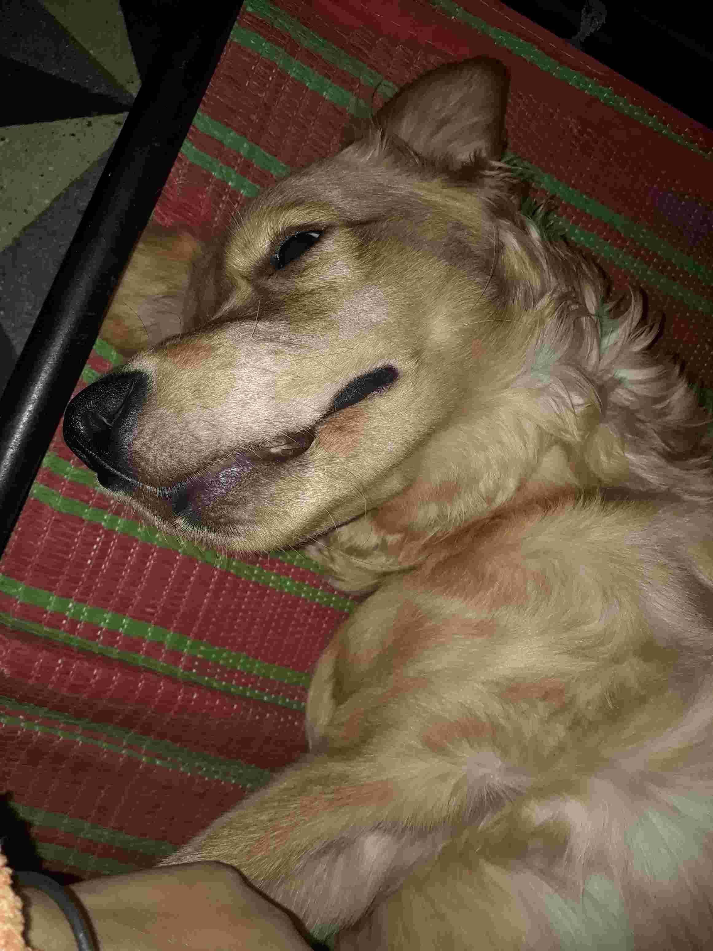 Question details sensitive content