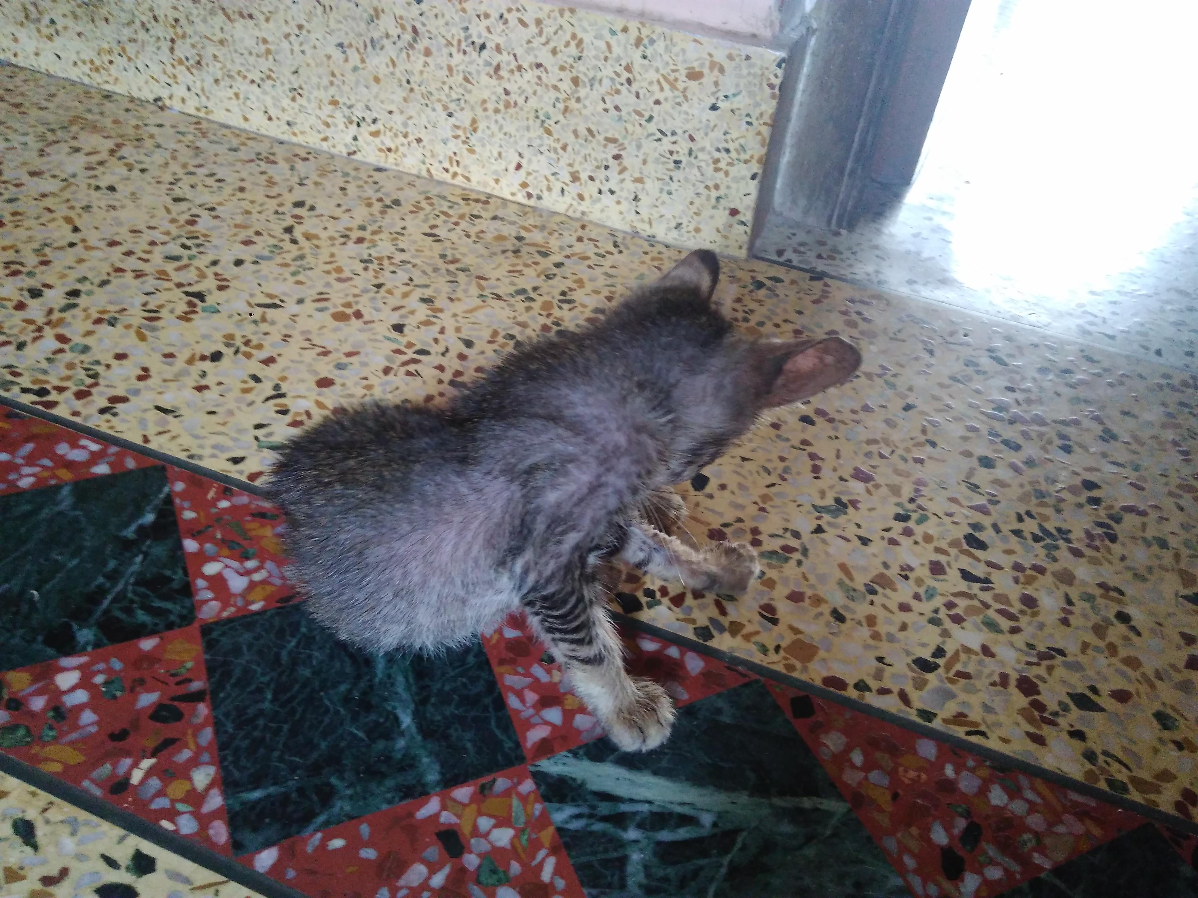 Question details sensitive content