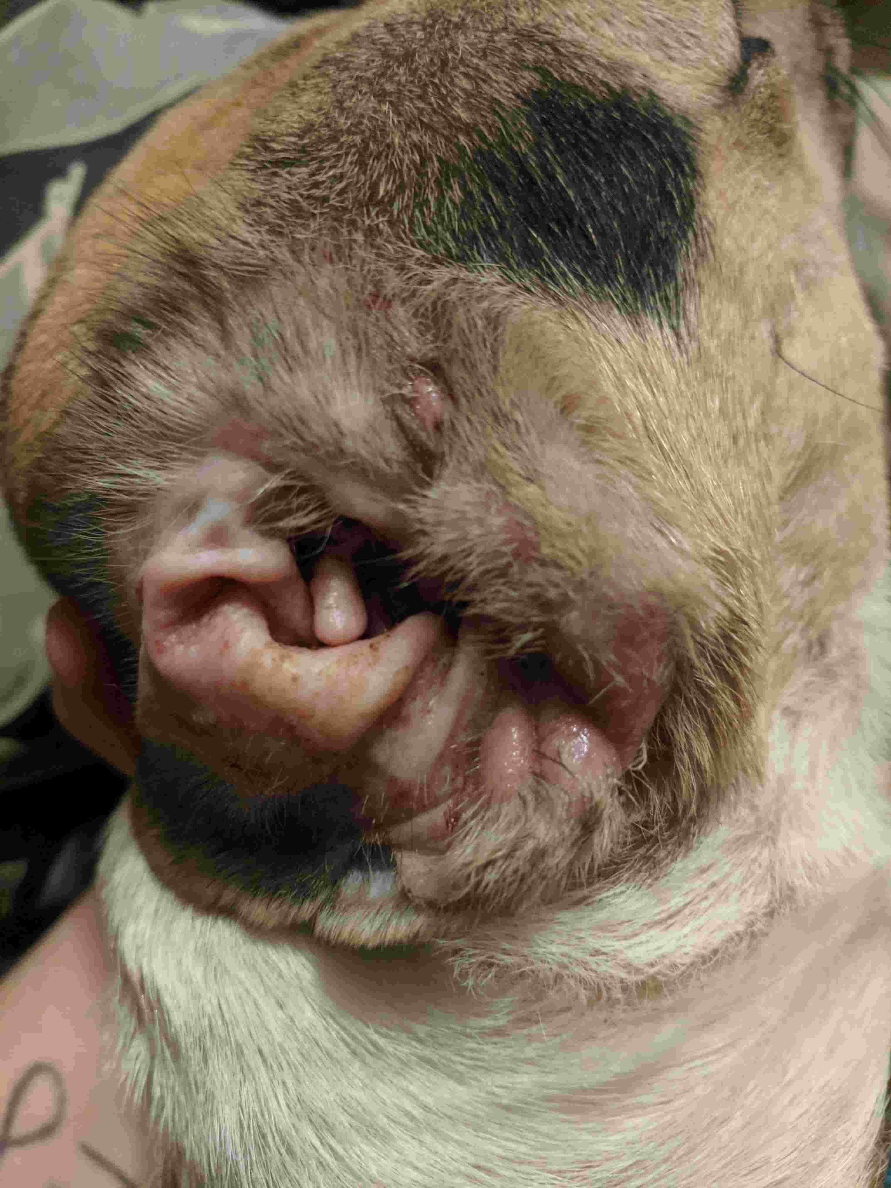 Question details sensitive content