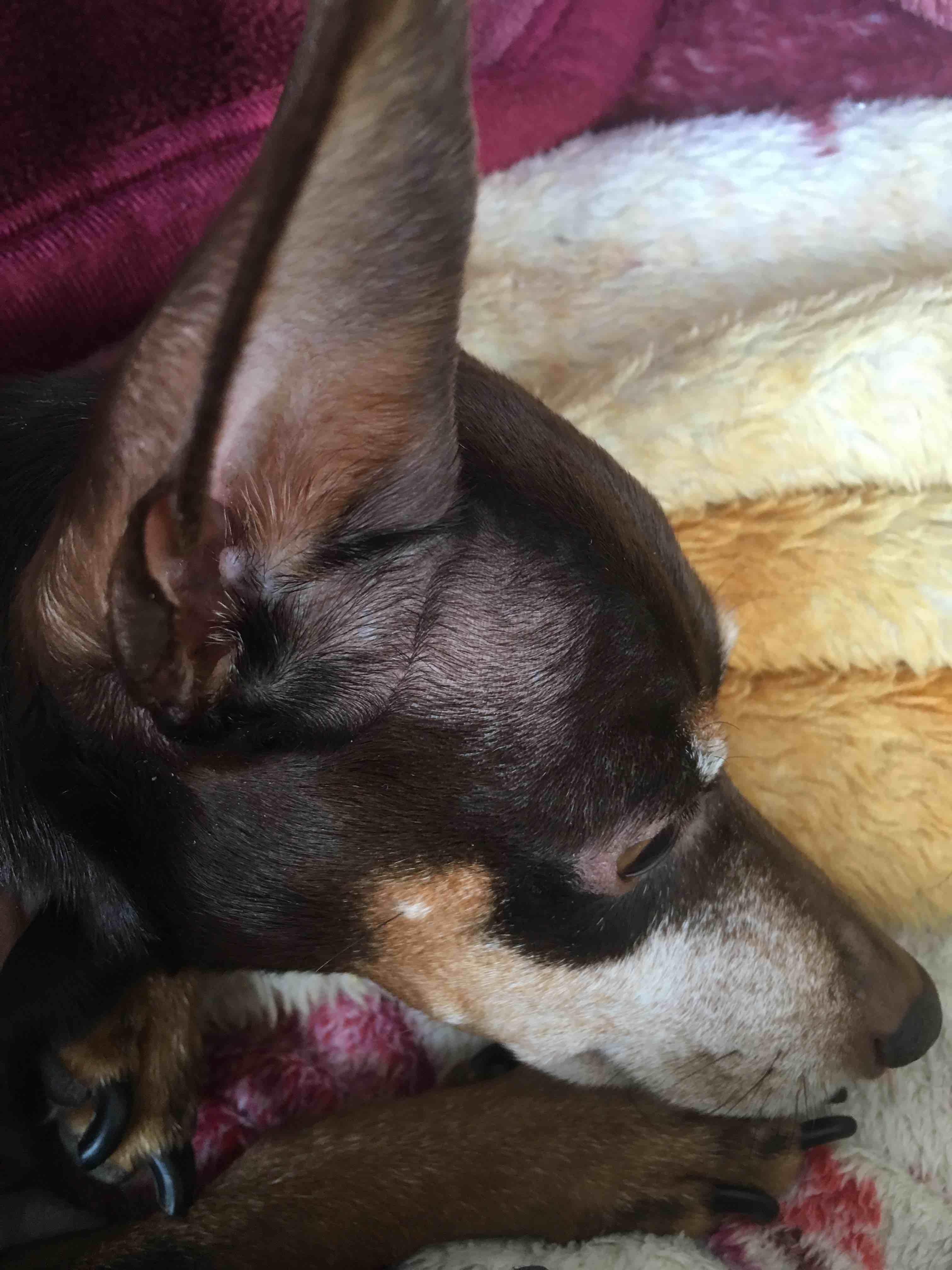 Question details sensitive content