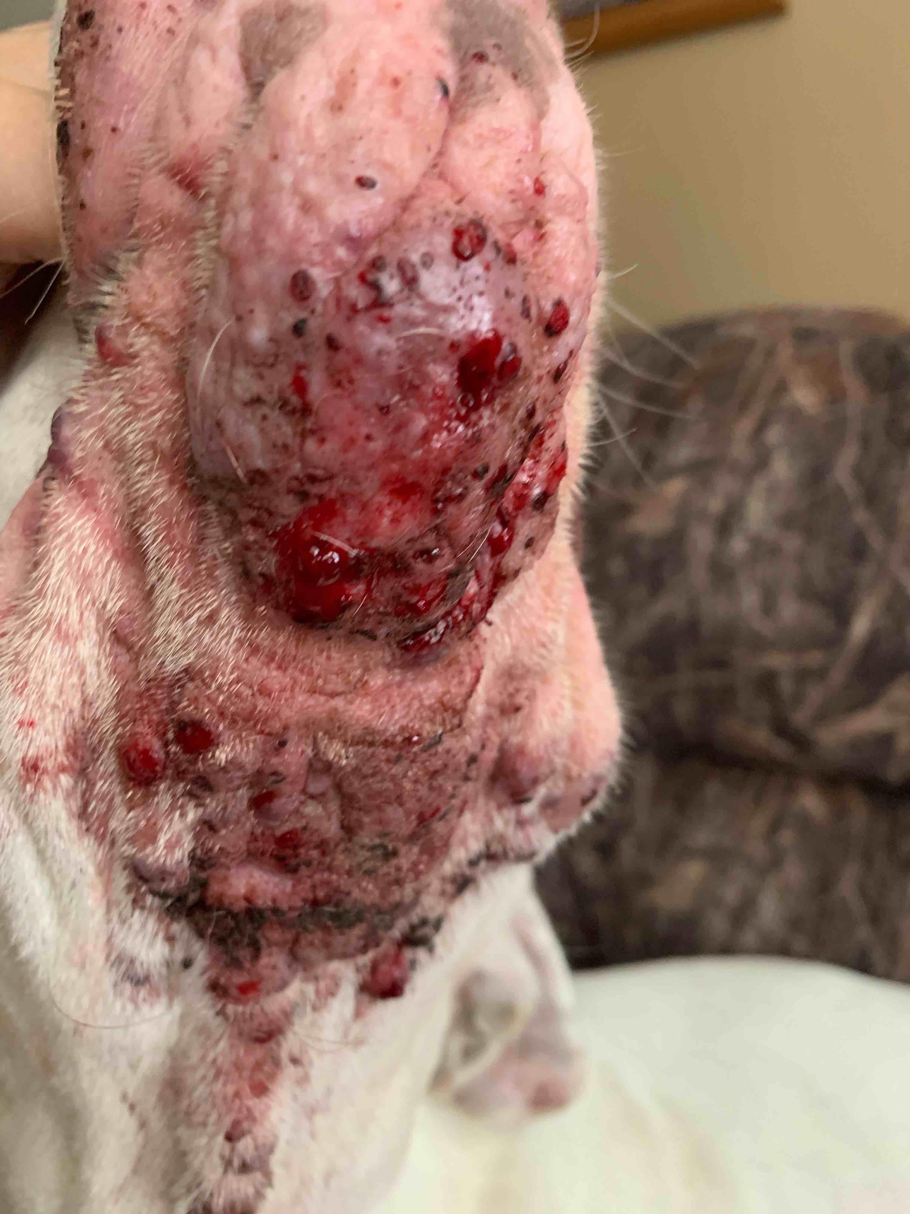 Question details sensitive content