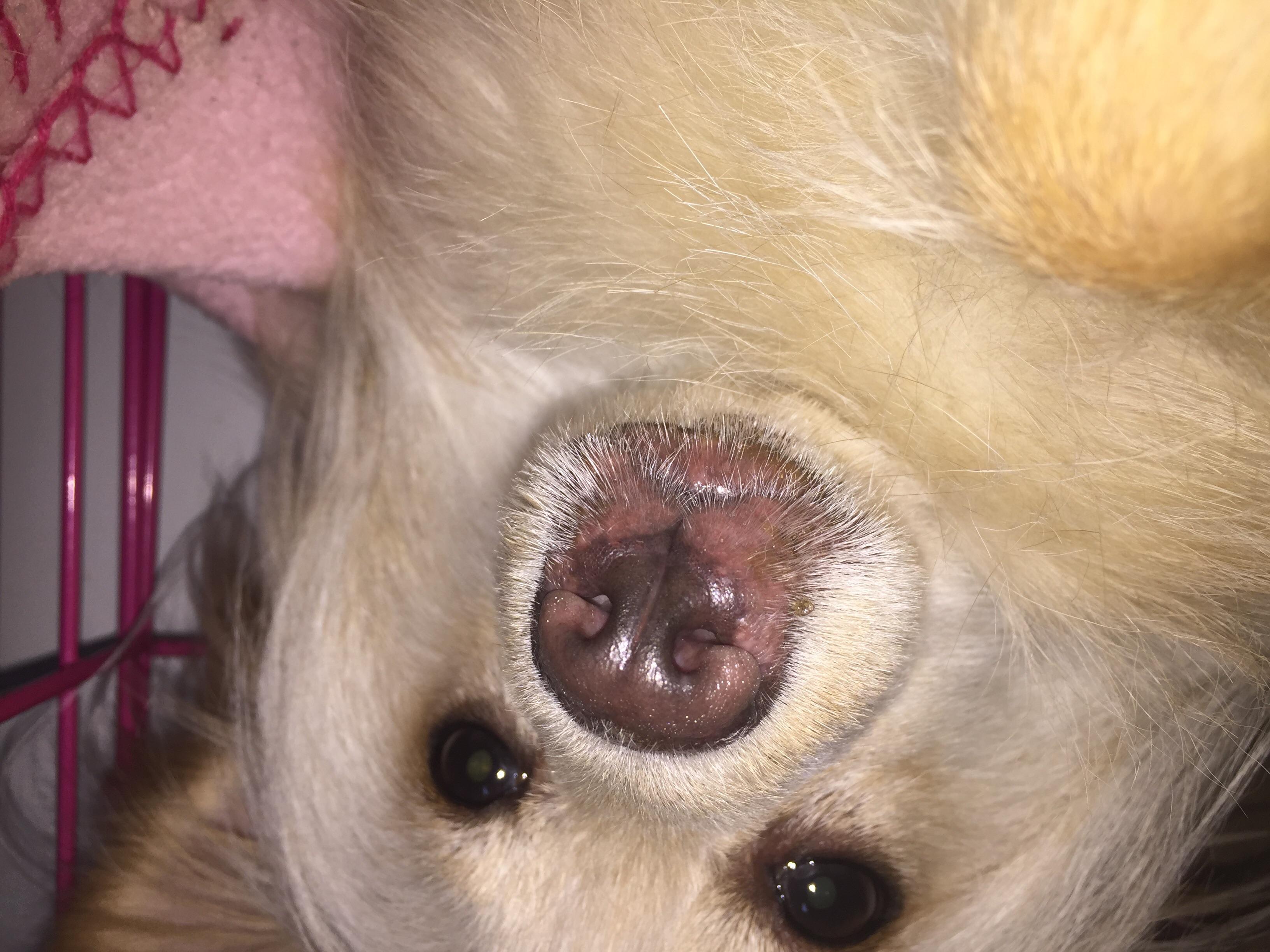 Question details sensitive content