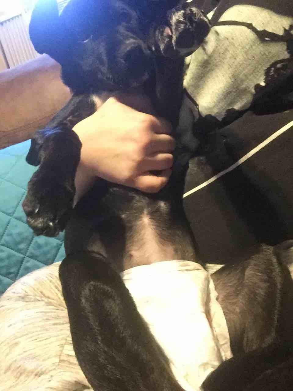 Question details sensitive content