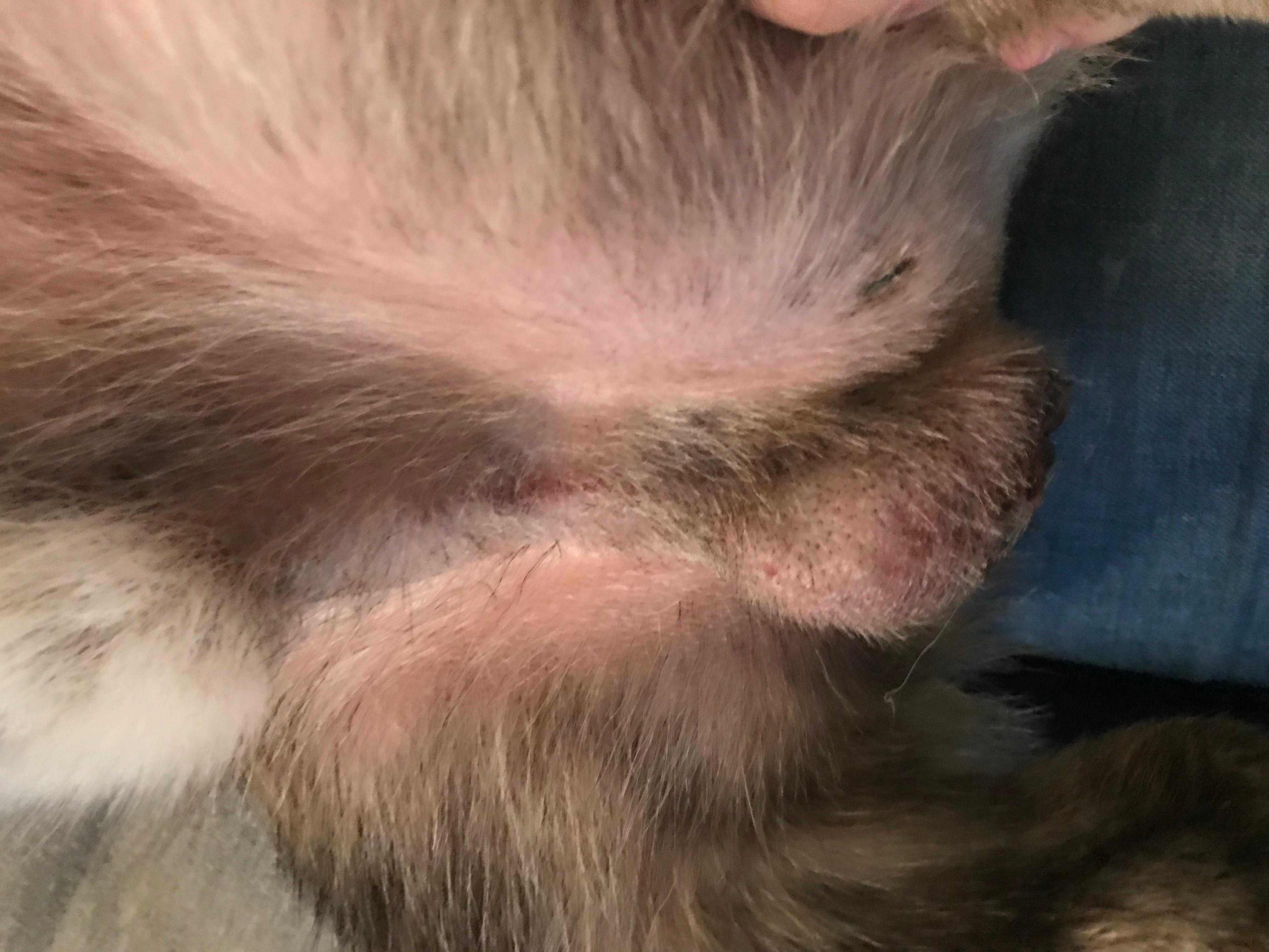 Question details sensitive content