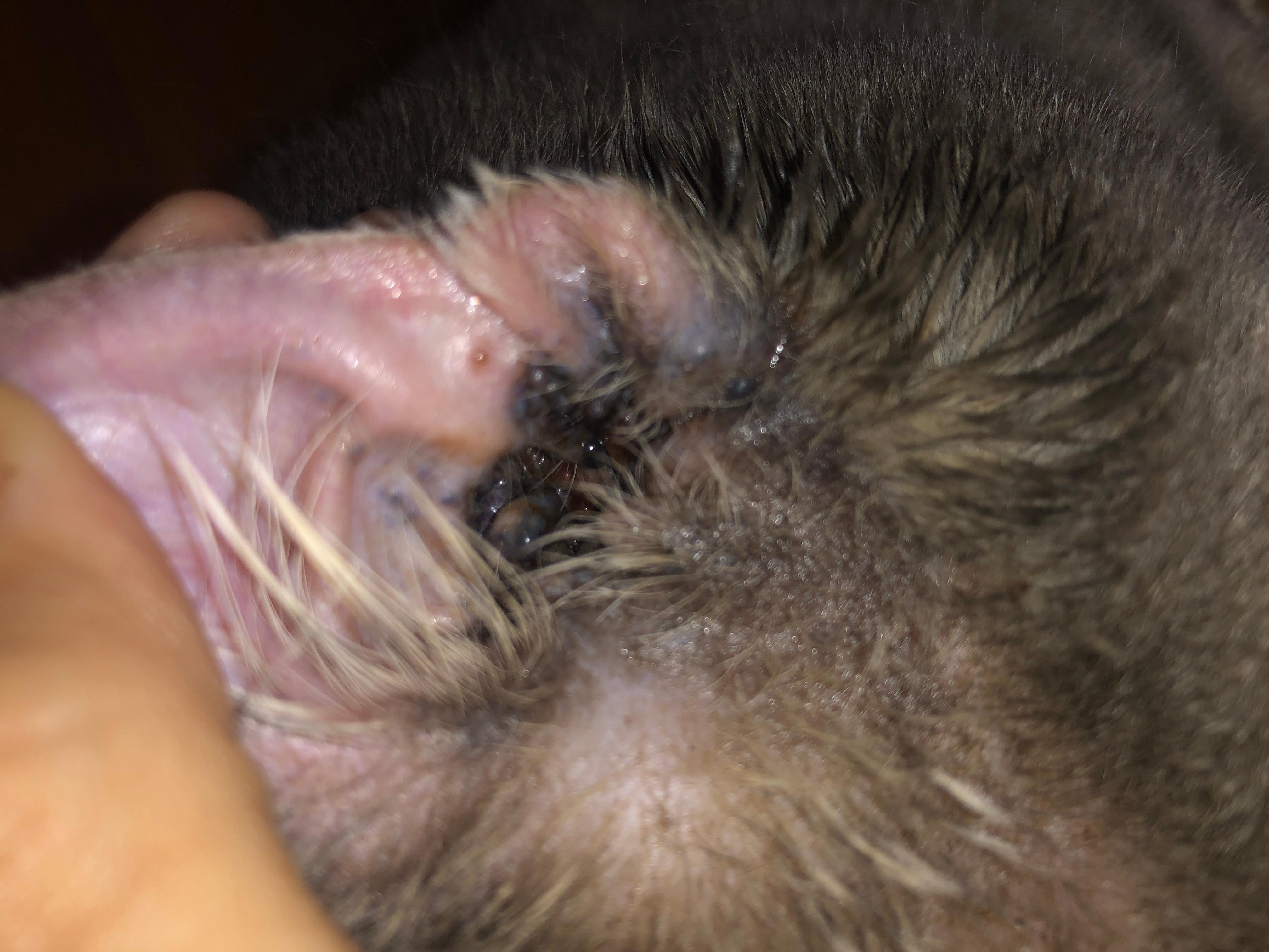 Question details sensitive content