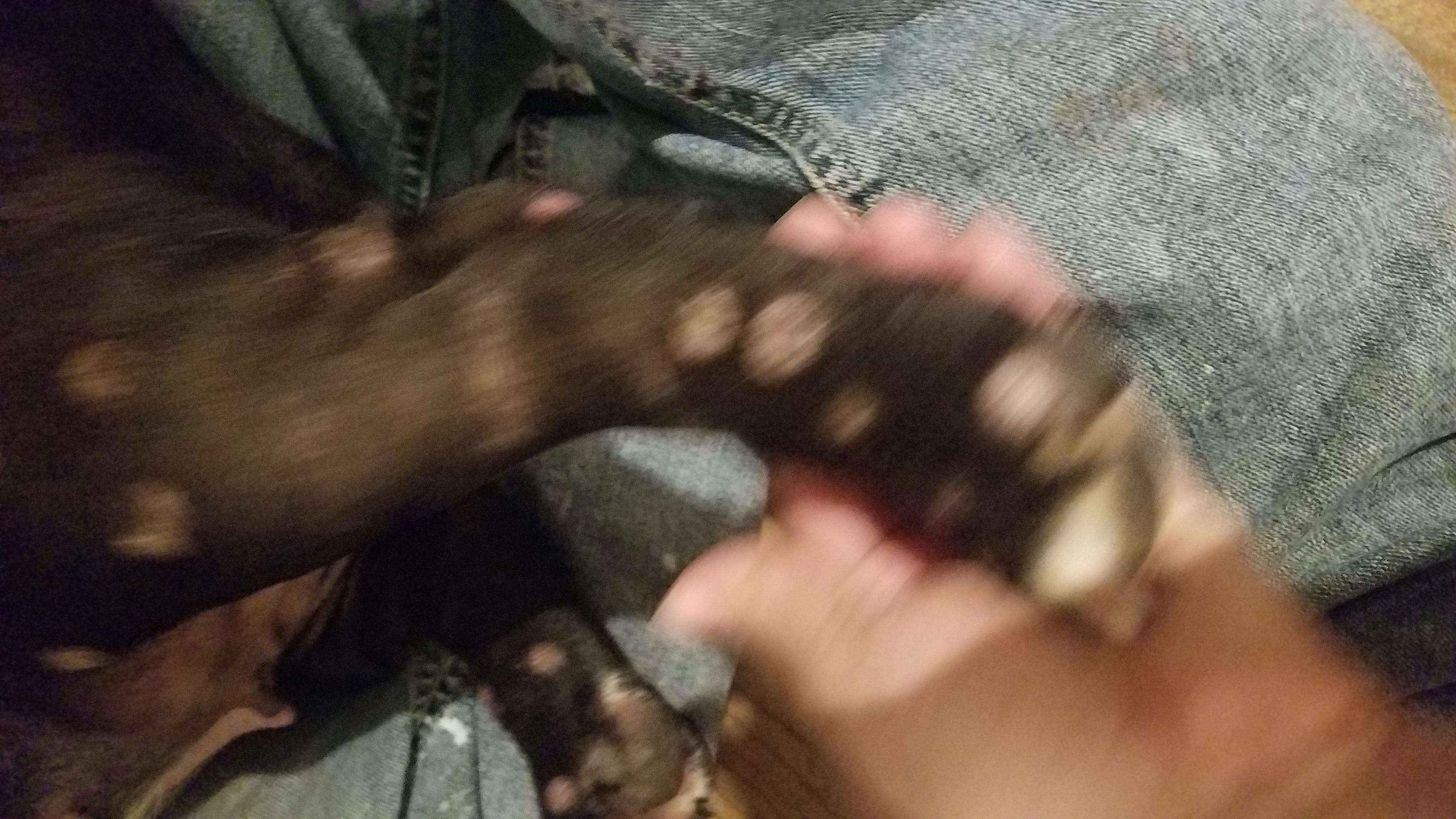 Question details sensitive content