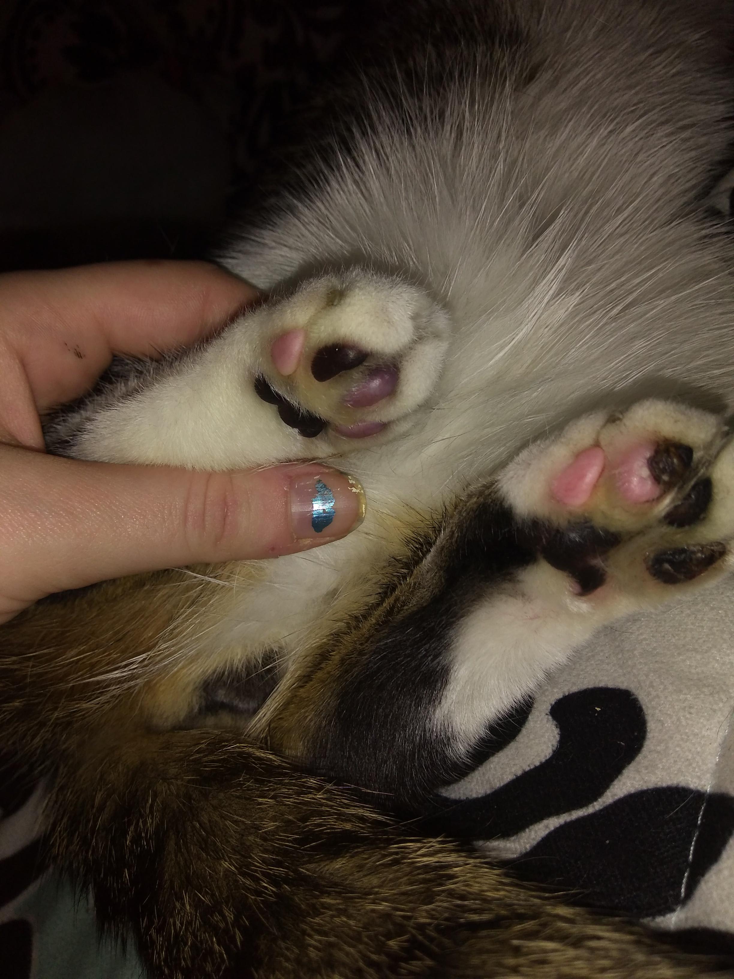 Question details sensitive content