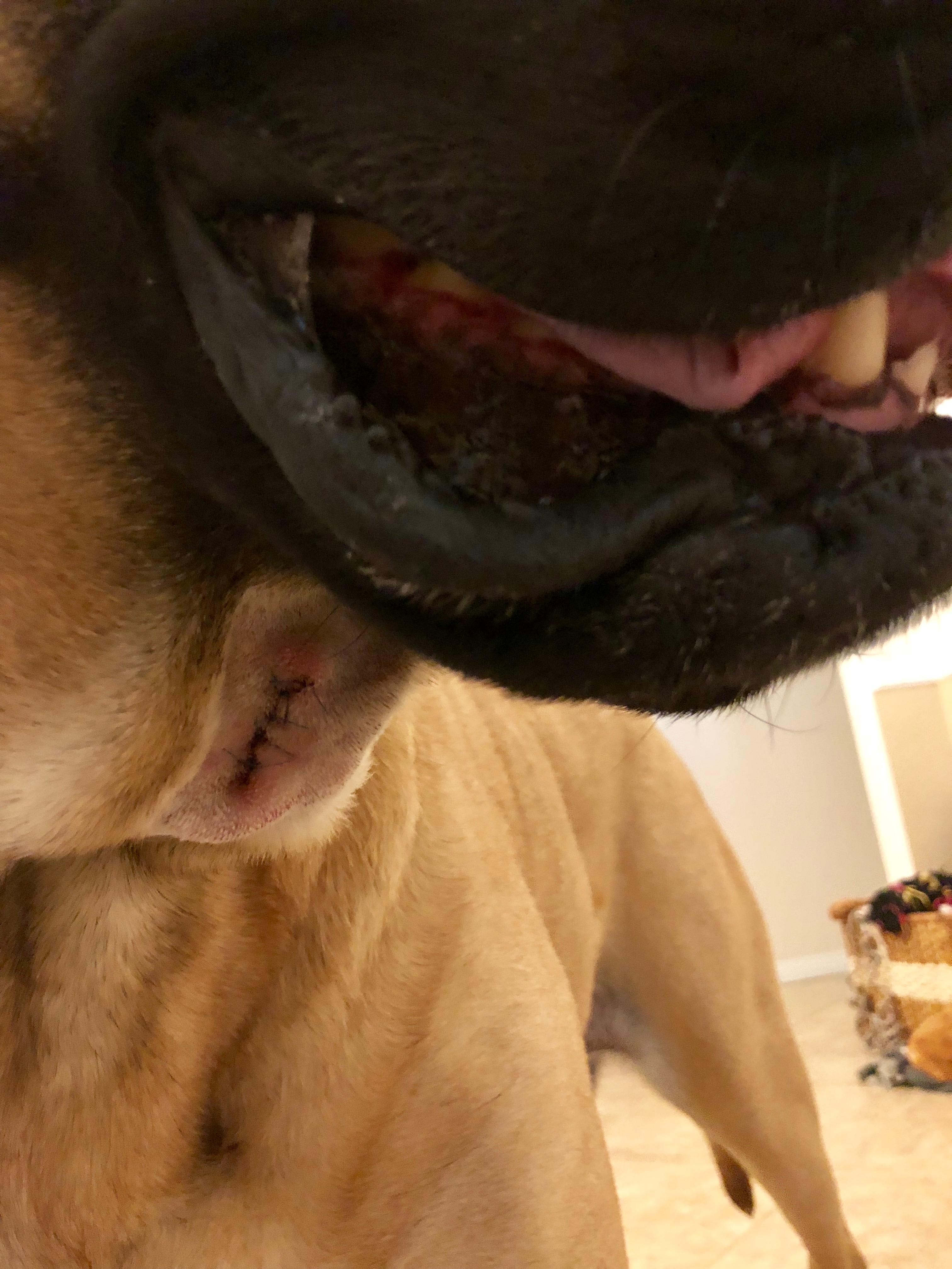 Question details sensitive content