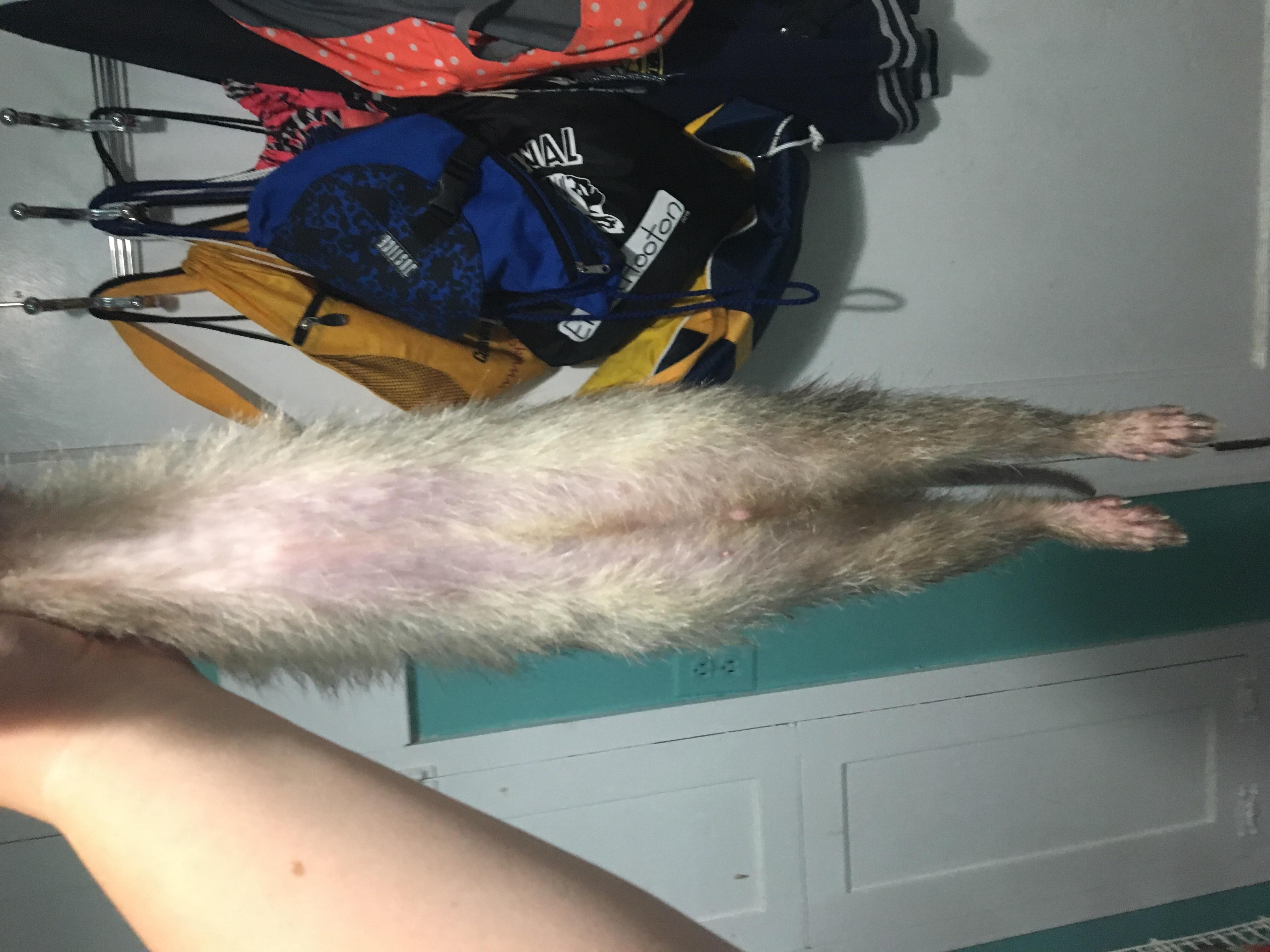 Question details sensitive content