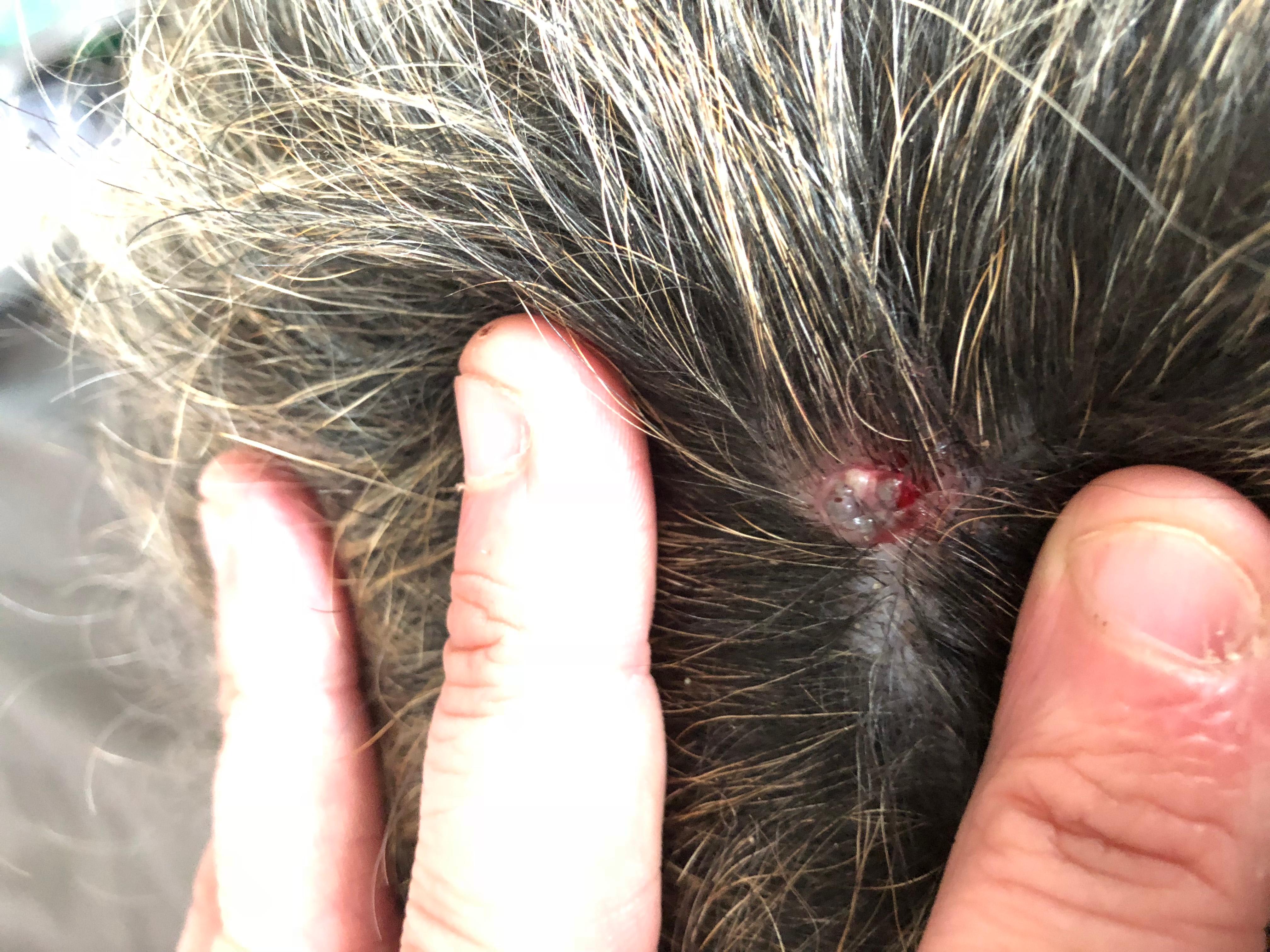 Question details sensitive content