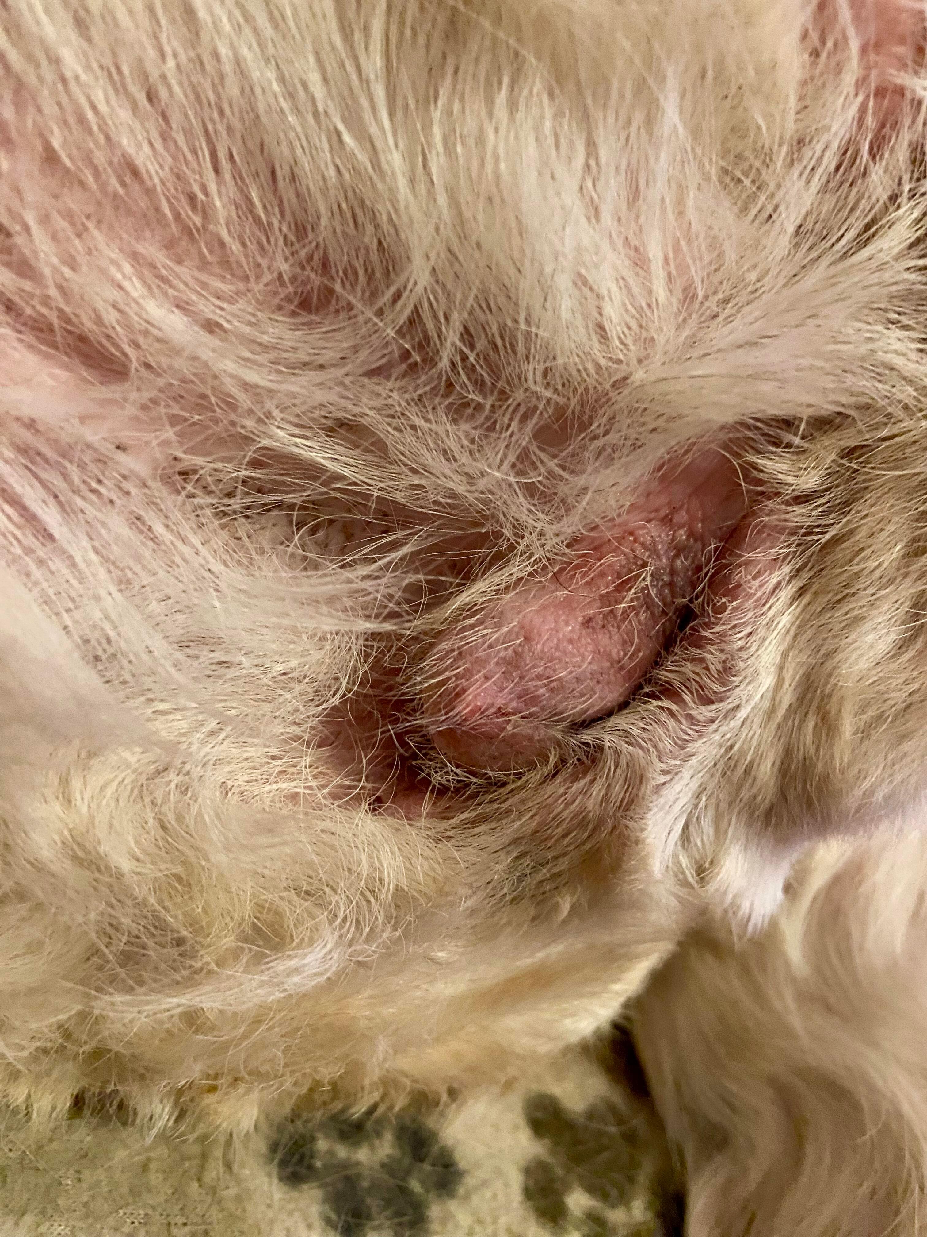 Question details sensitive content