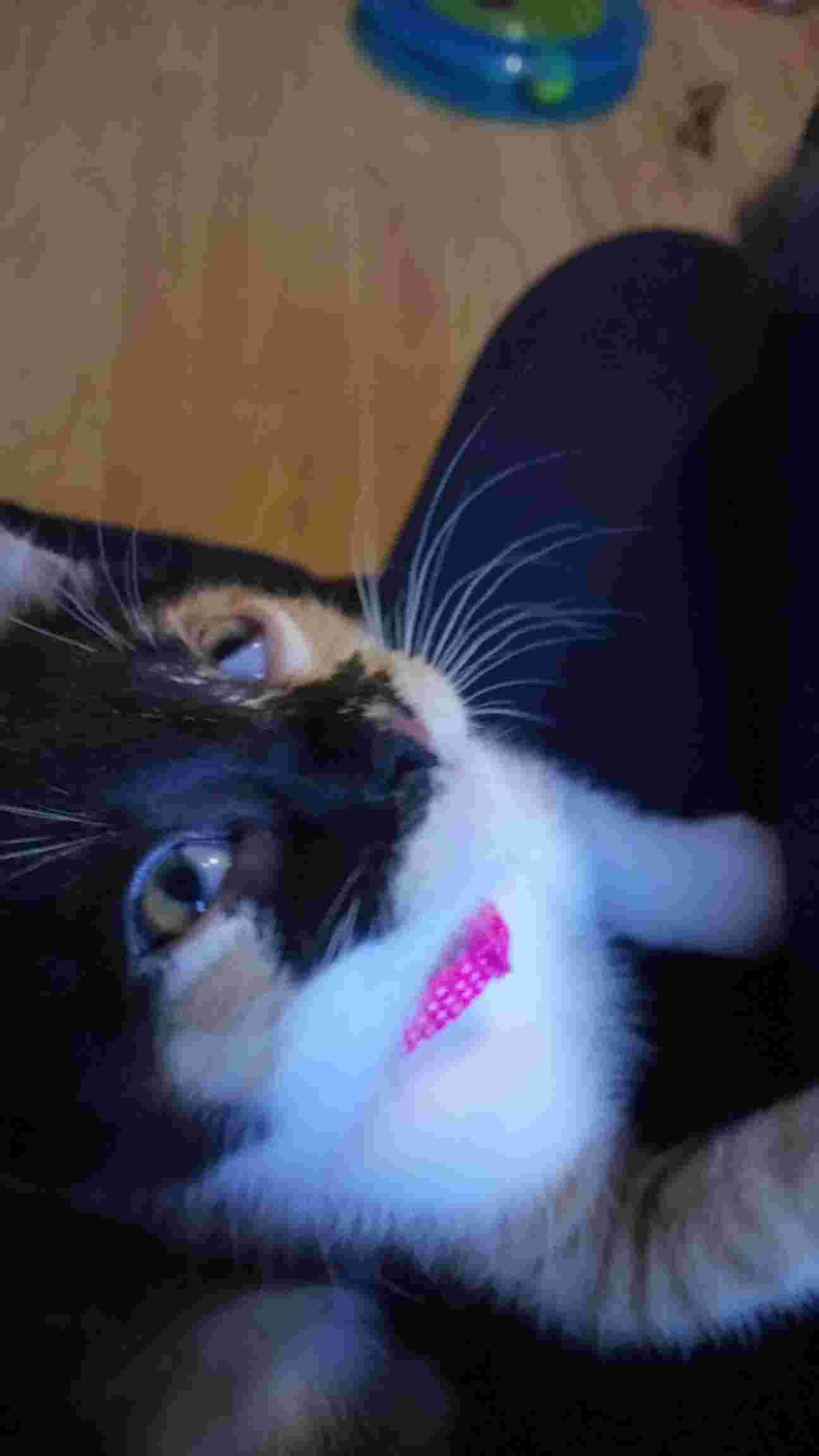 Question details sensitive content