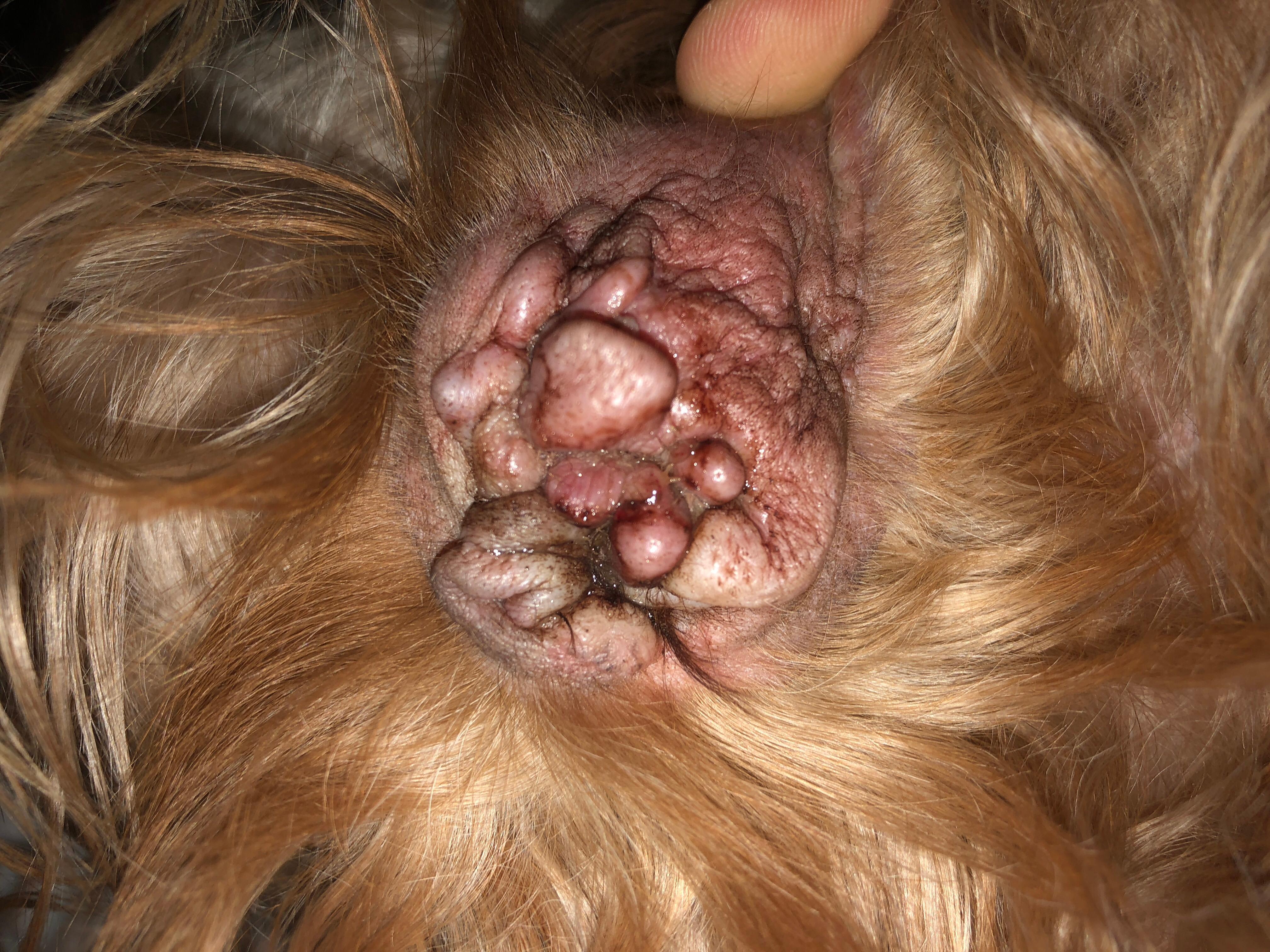 Question details sensitive content