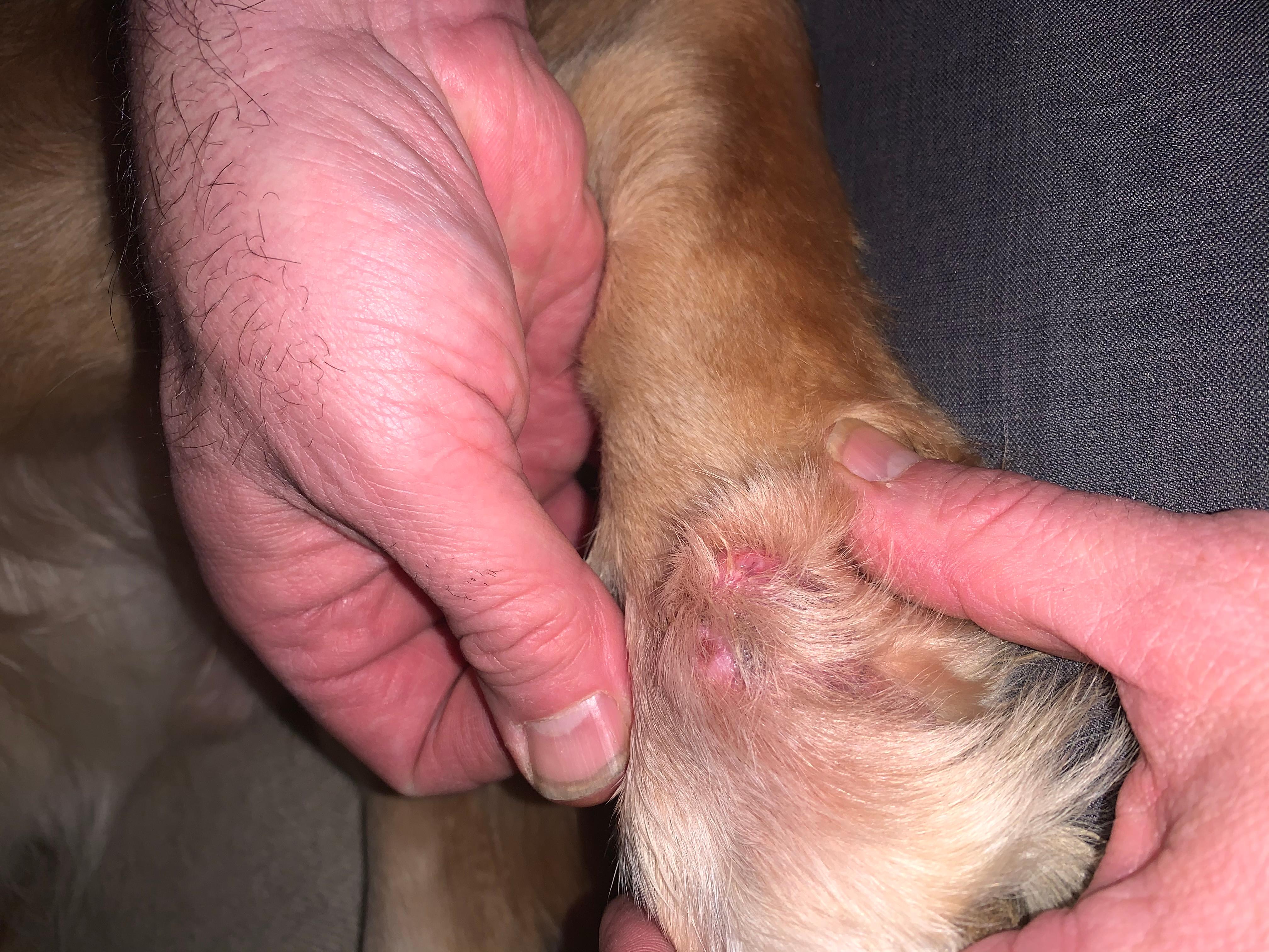 Question details sensitive content