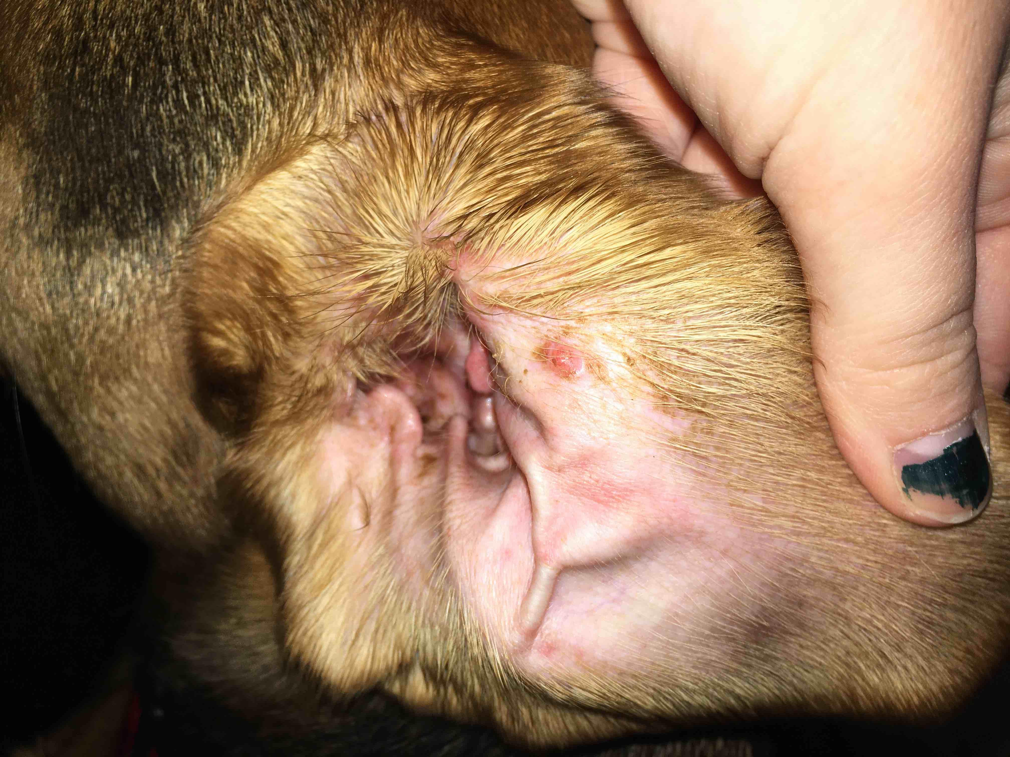 Question details sensitive content