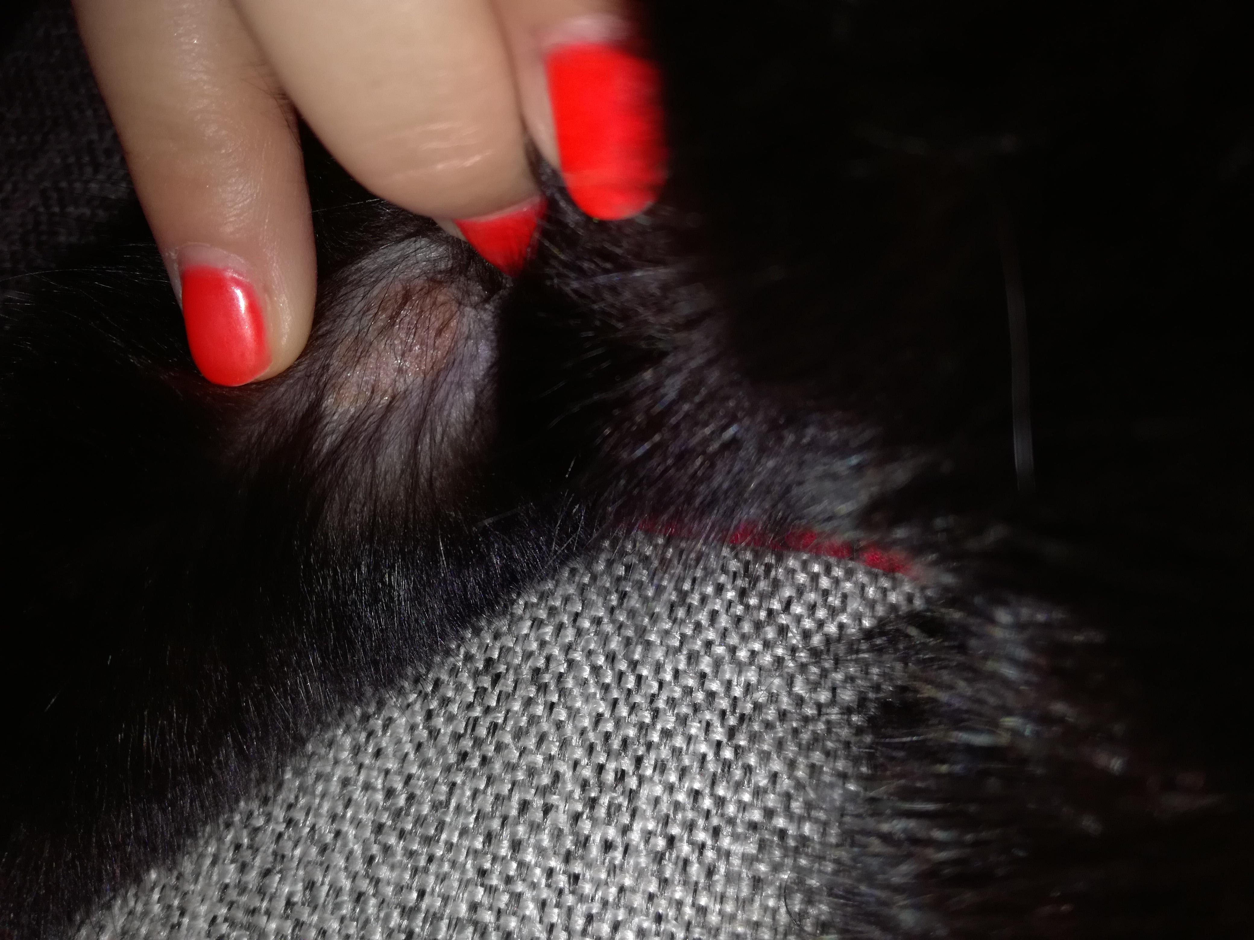 Question details sensitive content