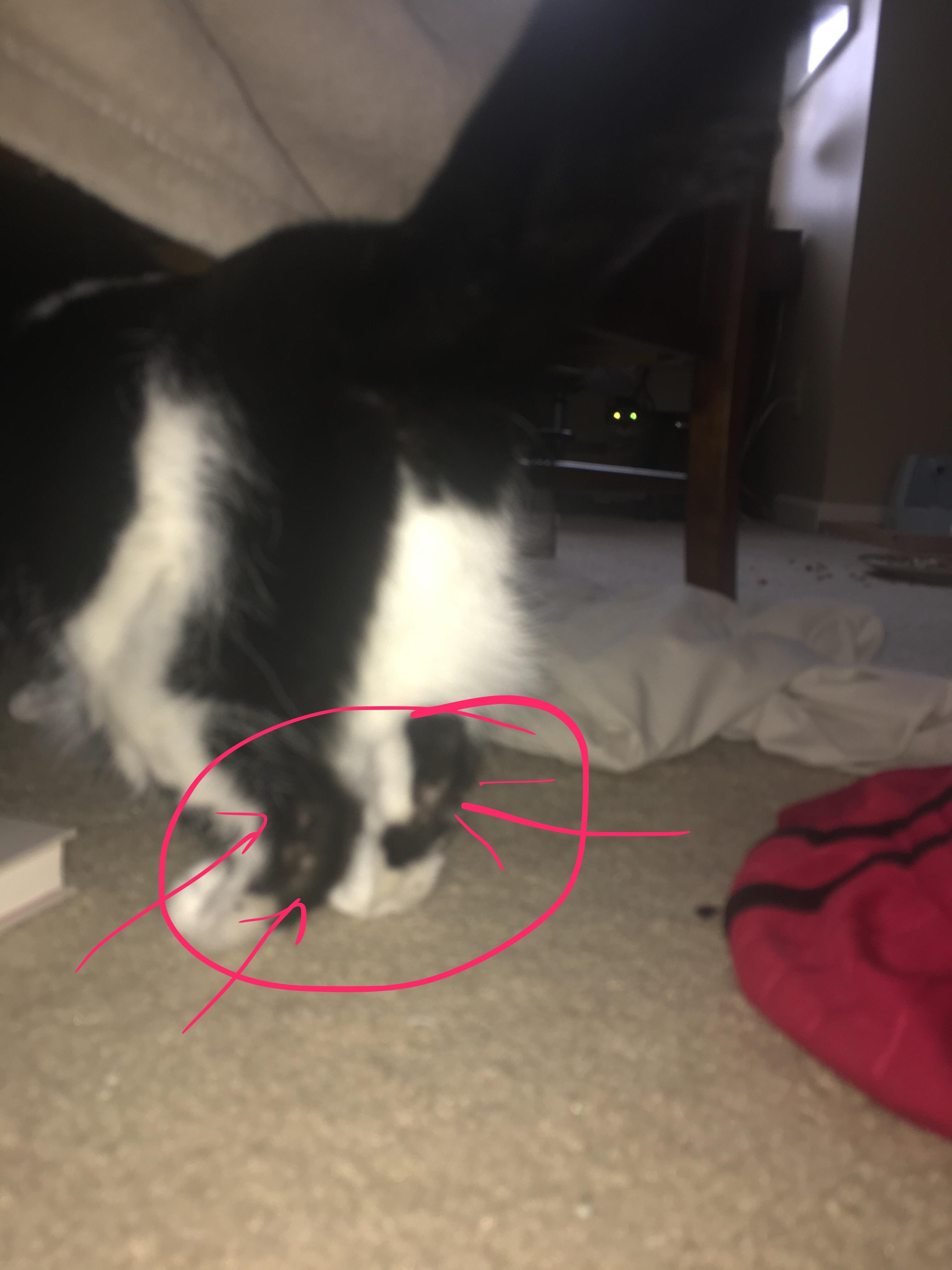 Question details sensitive content